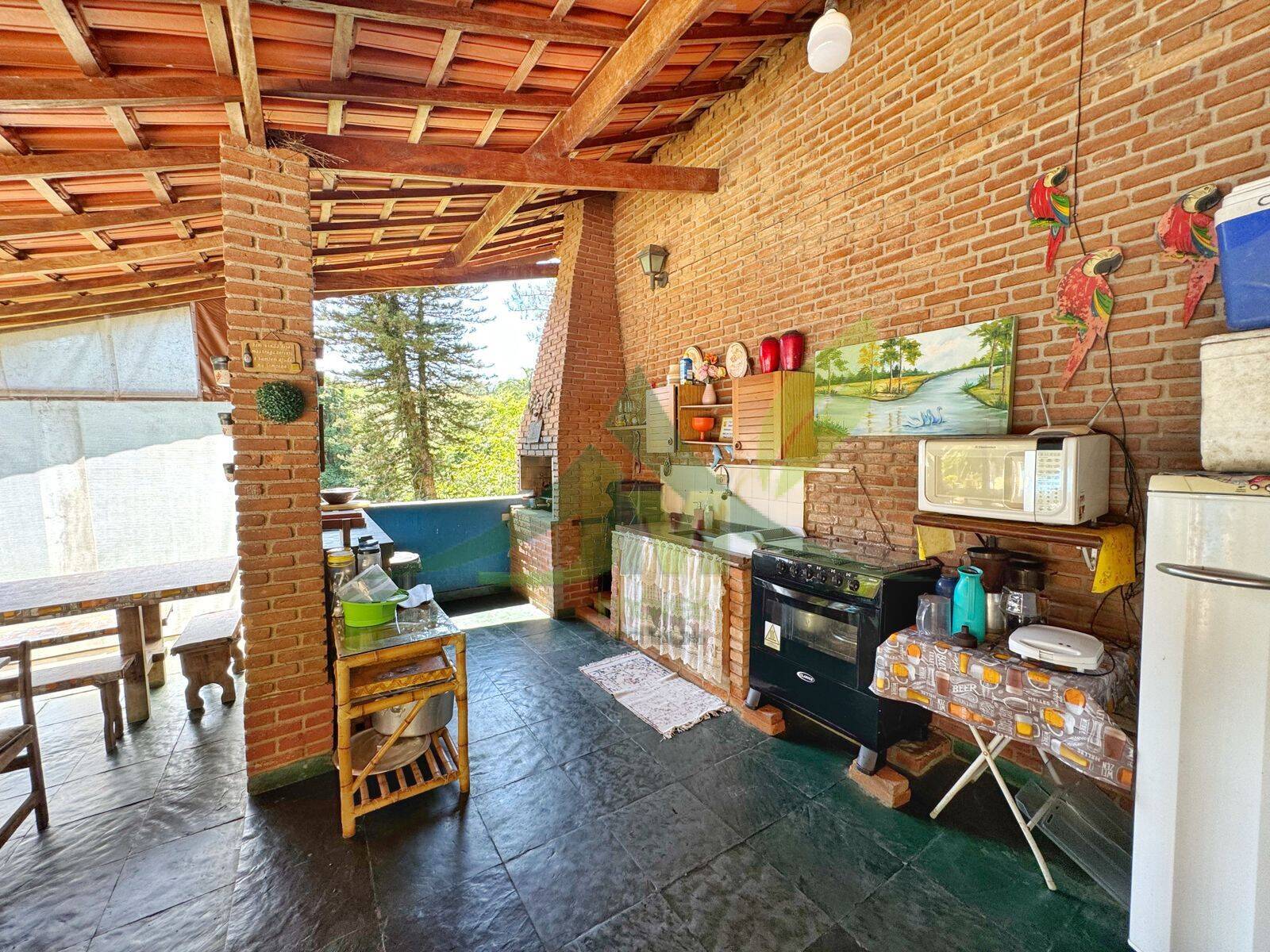 Sítio, 5 quartos, 4560 m² - Foto 25