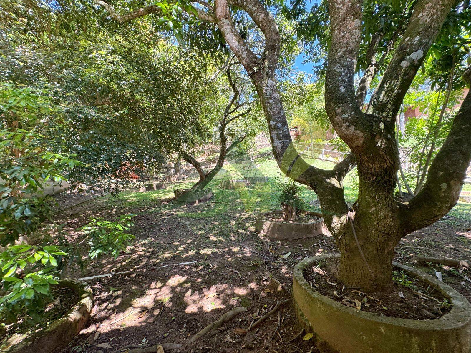 Sítio, 5 quartos, 4560 m² - Foto 30
