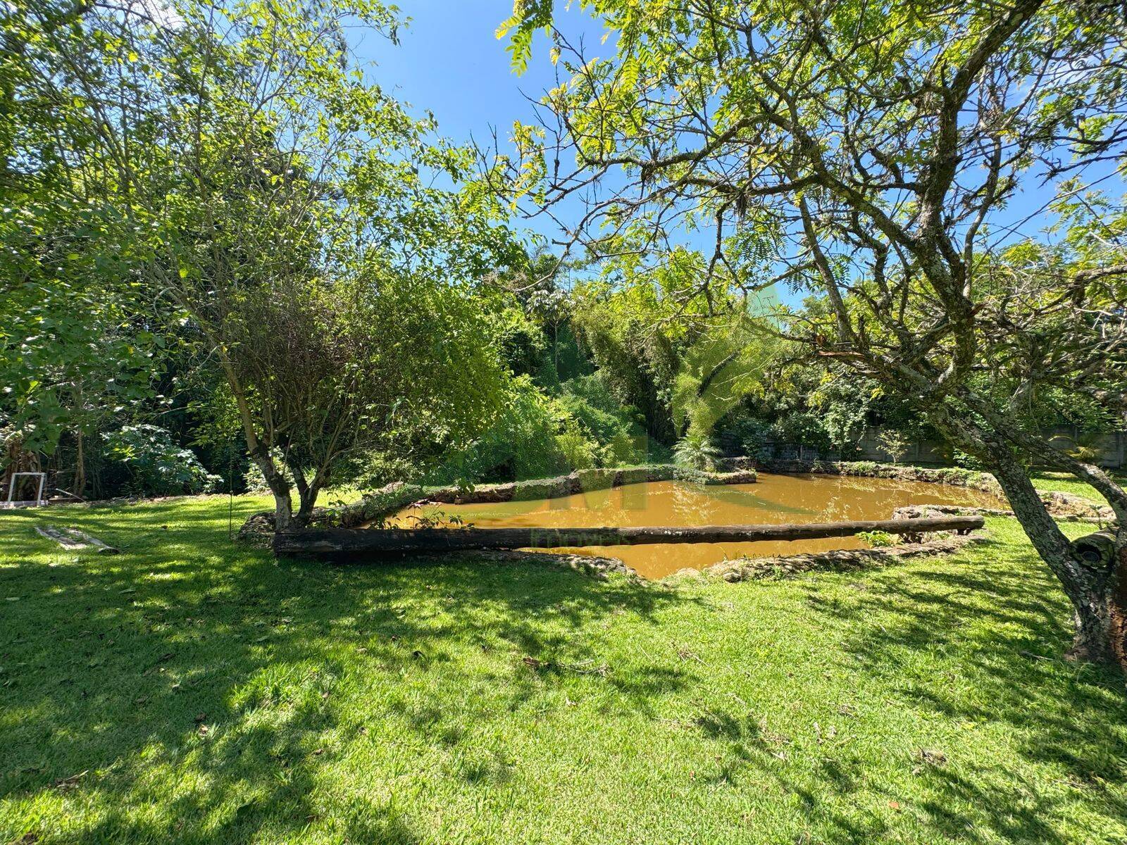 Sítio, 5 quartos, 4560 m² - Foto 32