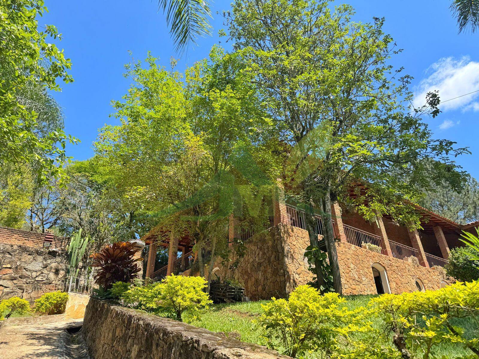 Sítio, 5 quartos, 4560 m² - Foto 38