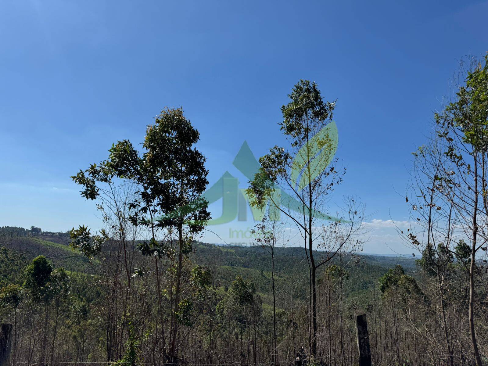 Terreno, 187 hectares - Foto 3