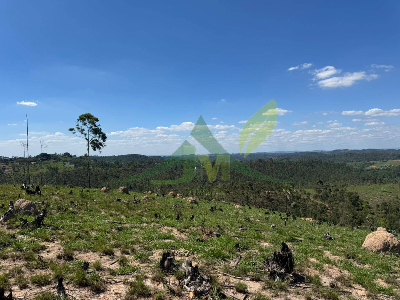 Terreno, 187 hectares - Foto 4