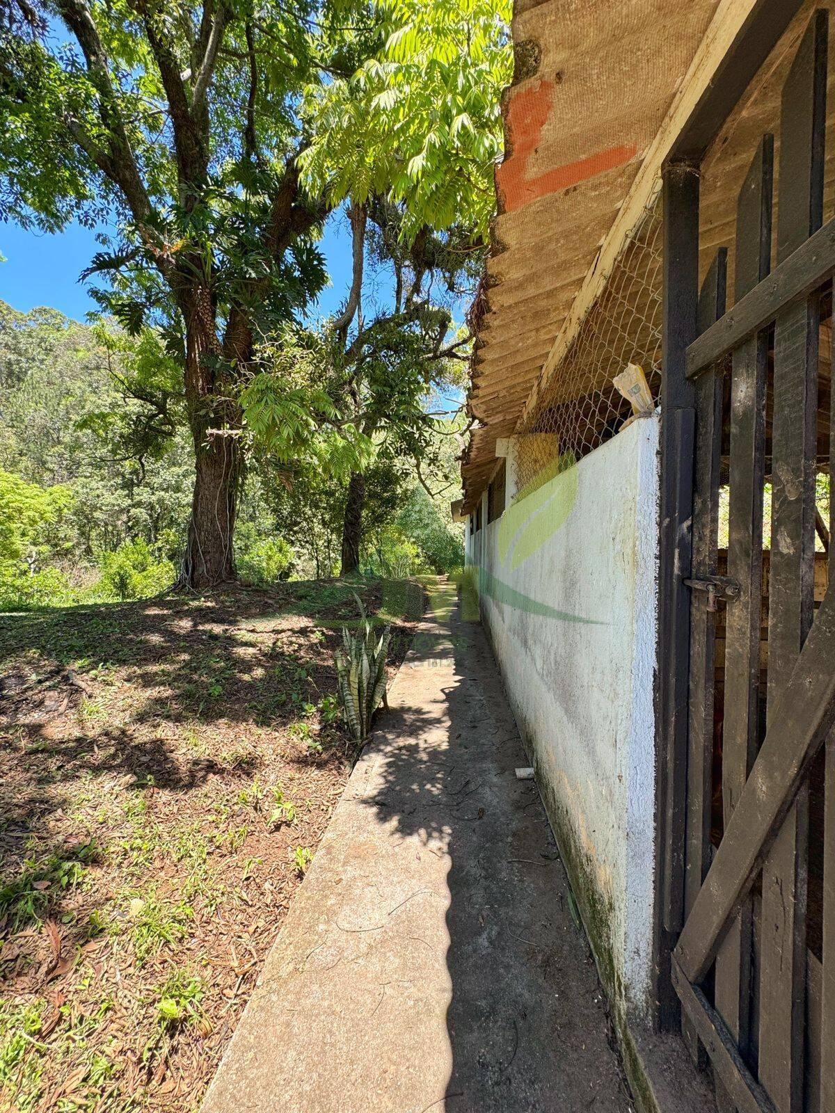Sítio, 8 quartos, 5 hectares - Foto 6