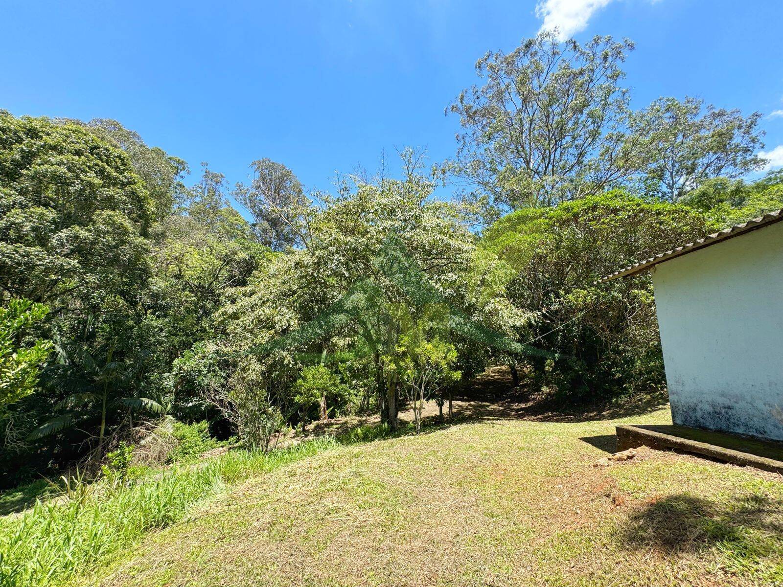 Sítio, 8 quartos, 5 hectares - Foto 7