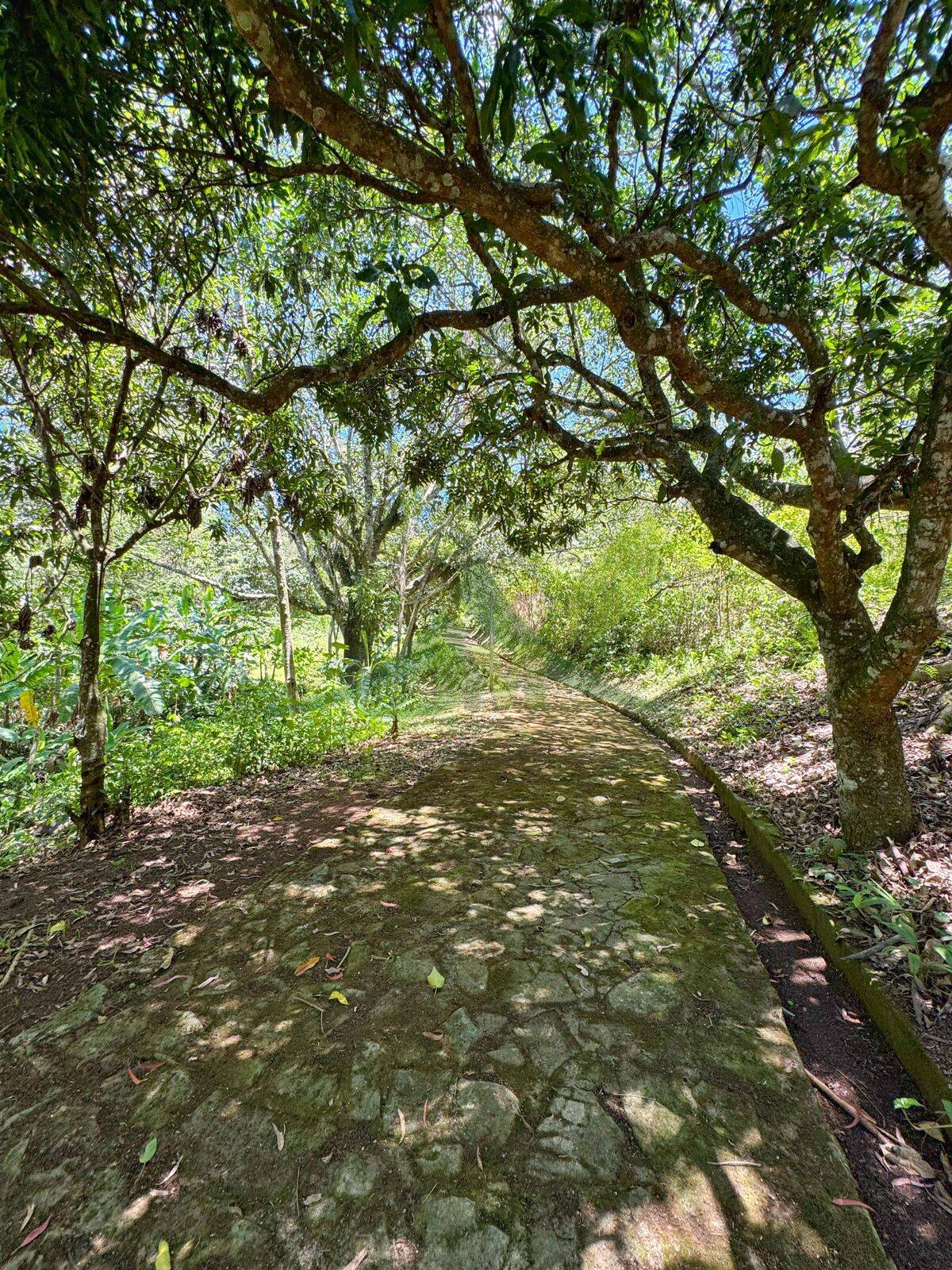 Sítio, 8 quartos, 5 hectares - Foto 10