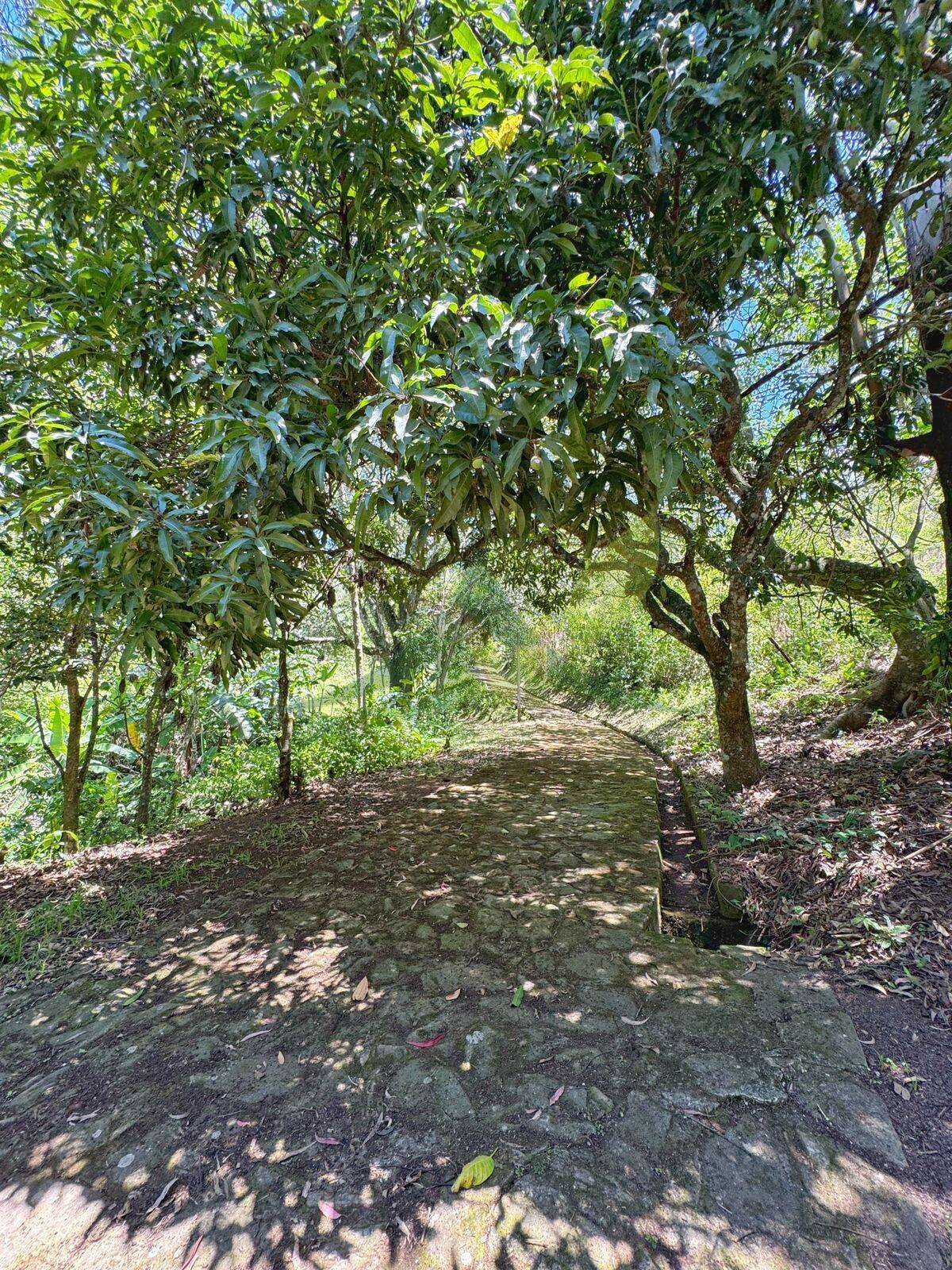Sítio, 8 quartos, 5 hectares - Foto 12
