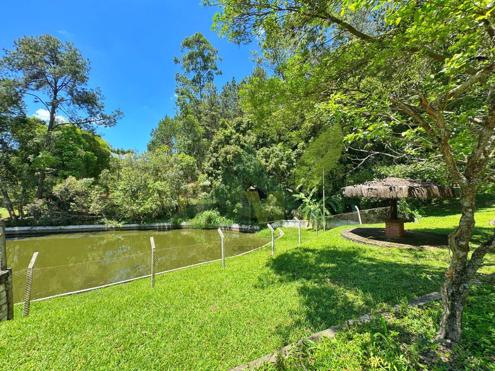 Sítio, 8 quartos, 5 hectares - Foto 15