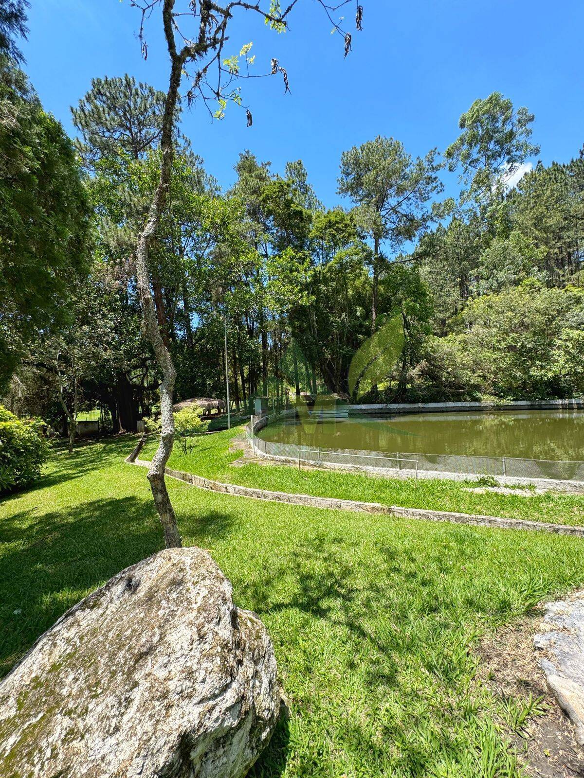 Sítio, 8 quartos, 5 hectares - Foto 18