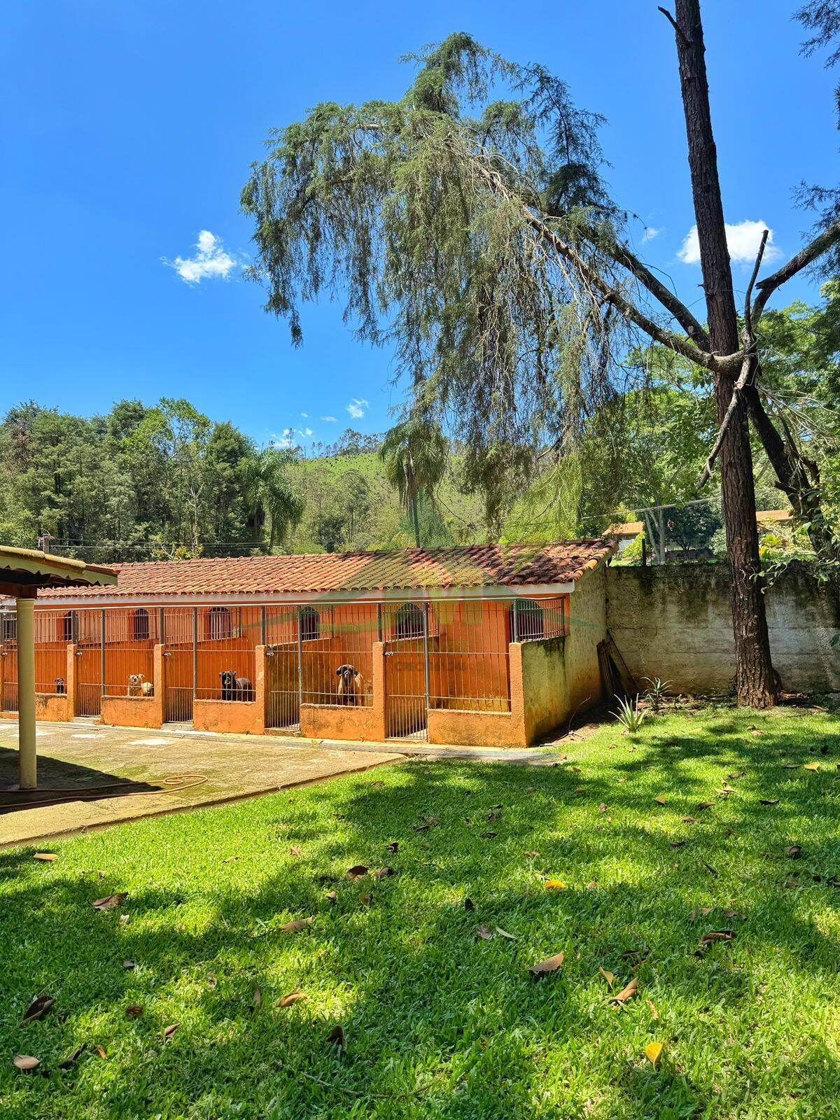 Sítio, 8 quartos, 5 hectares - Foto 28