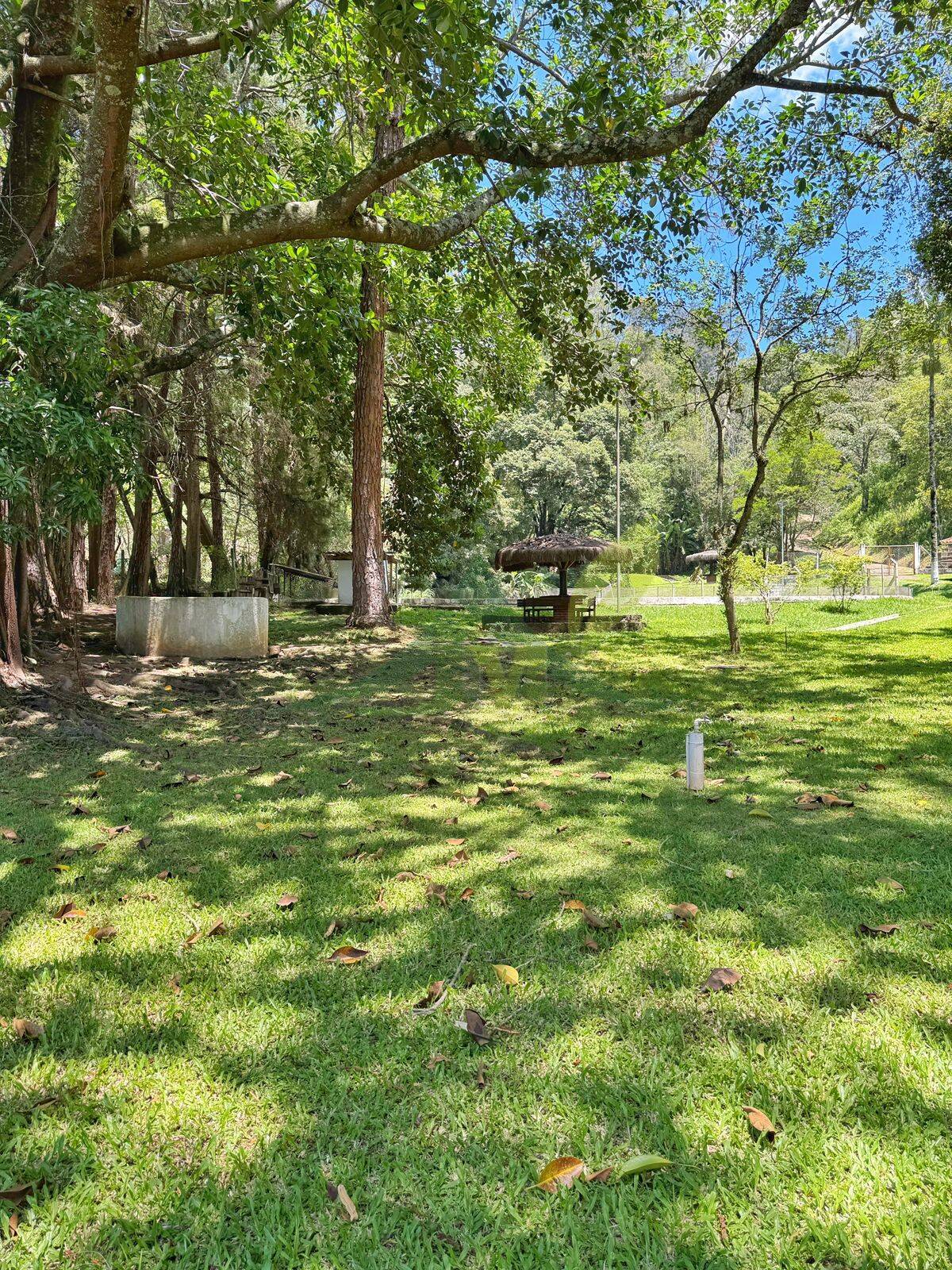 Sítio, 8 quartos, 5 hectares - Foto 31