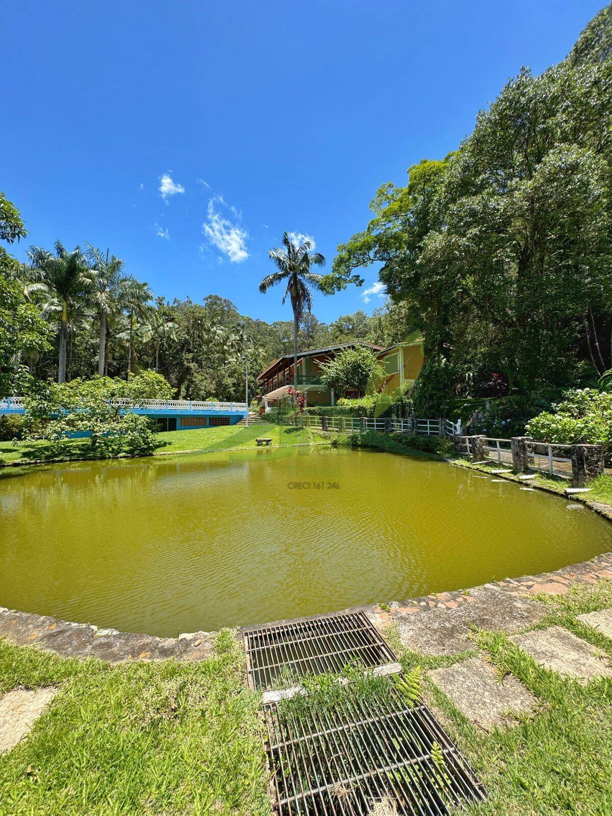 Sítio, 8 quartos, 5 hectares - Foto 63