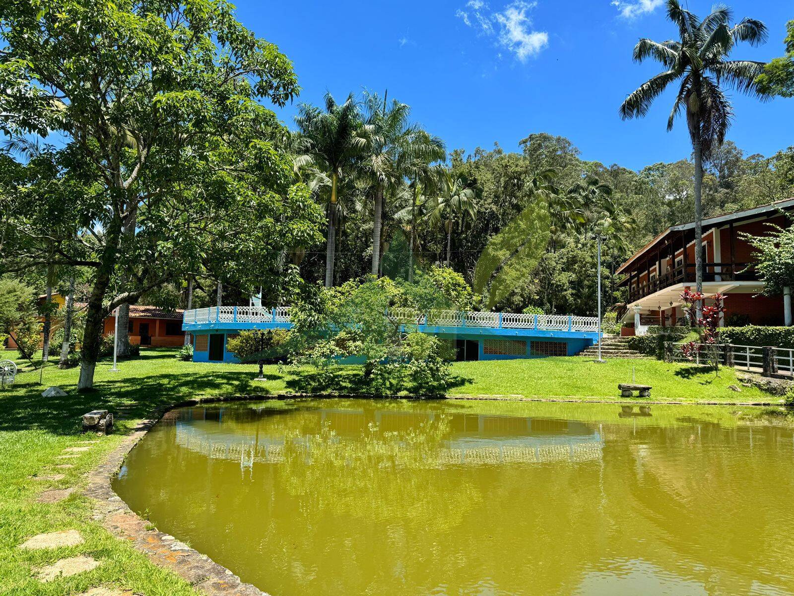 Sítio, 8 quartos, 5 hectares - Foto 66