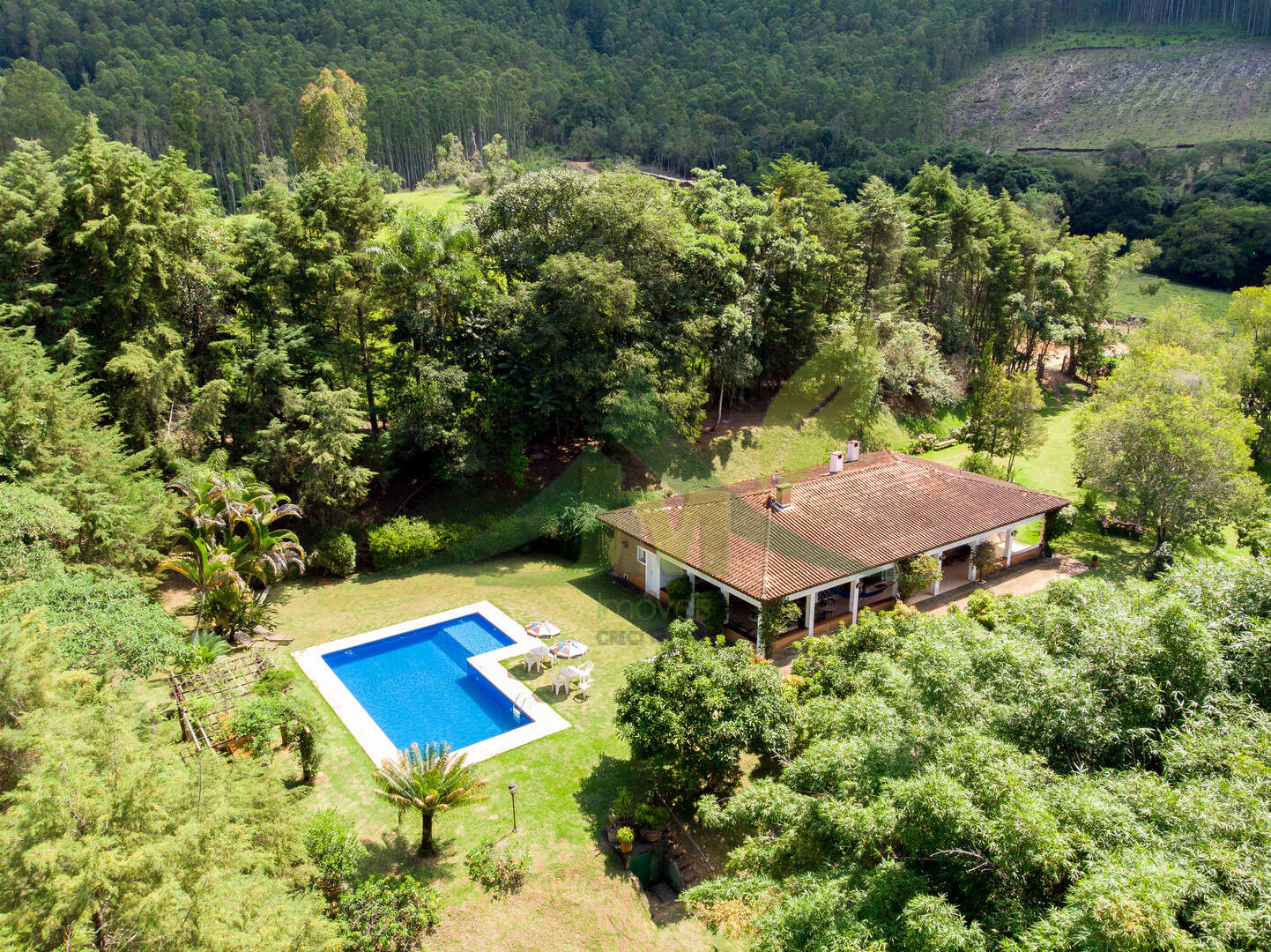 Sítio, 6 quartos, 1 hectares - Foto 3