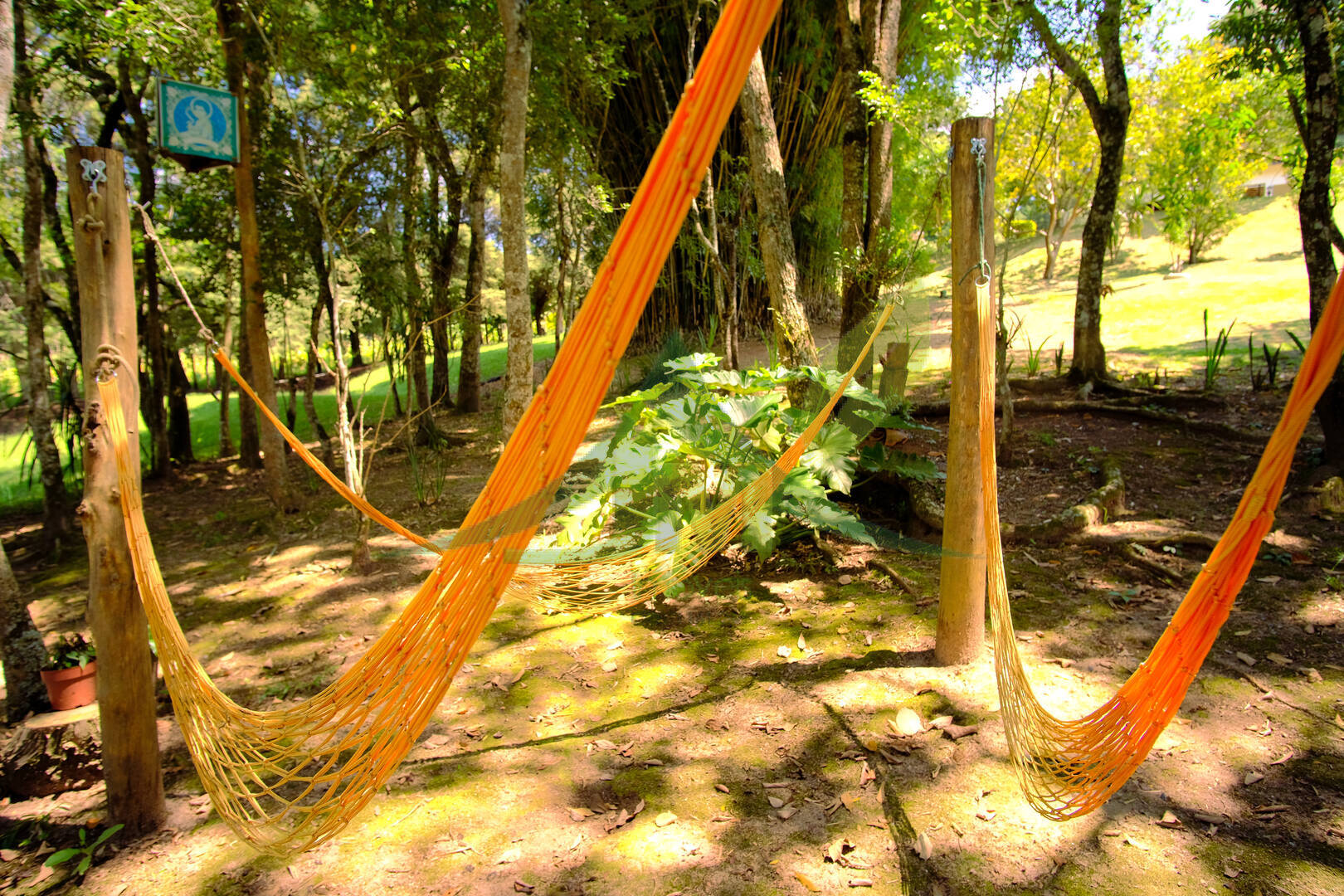 Sítio, 6 quartos, 1 hectares - Foto 16