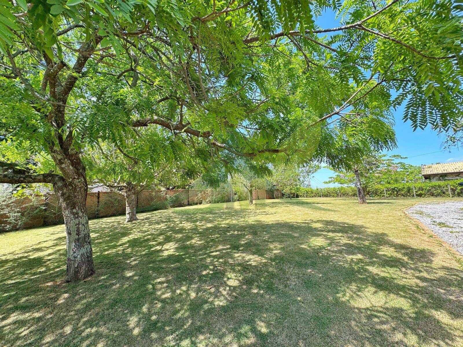 Sítio, 3 quartos, 5000 m² - Foto 34