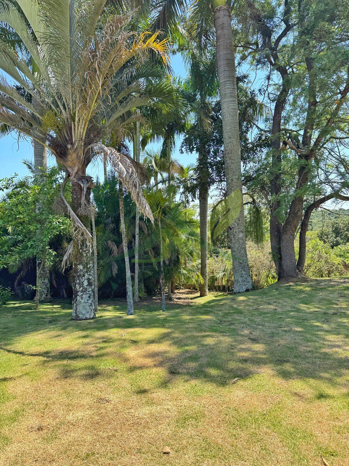 Sítio, 3 quartos, 5000 m² - Foto 36