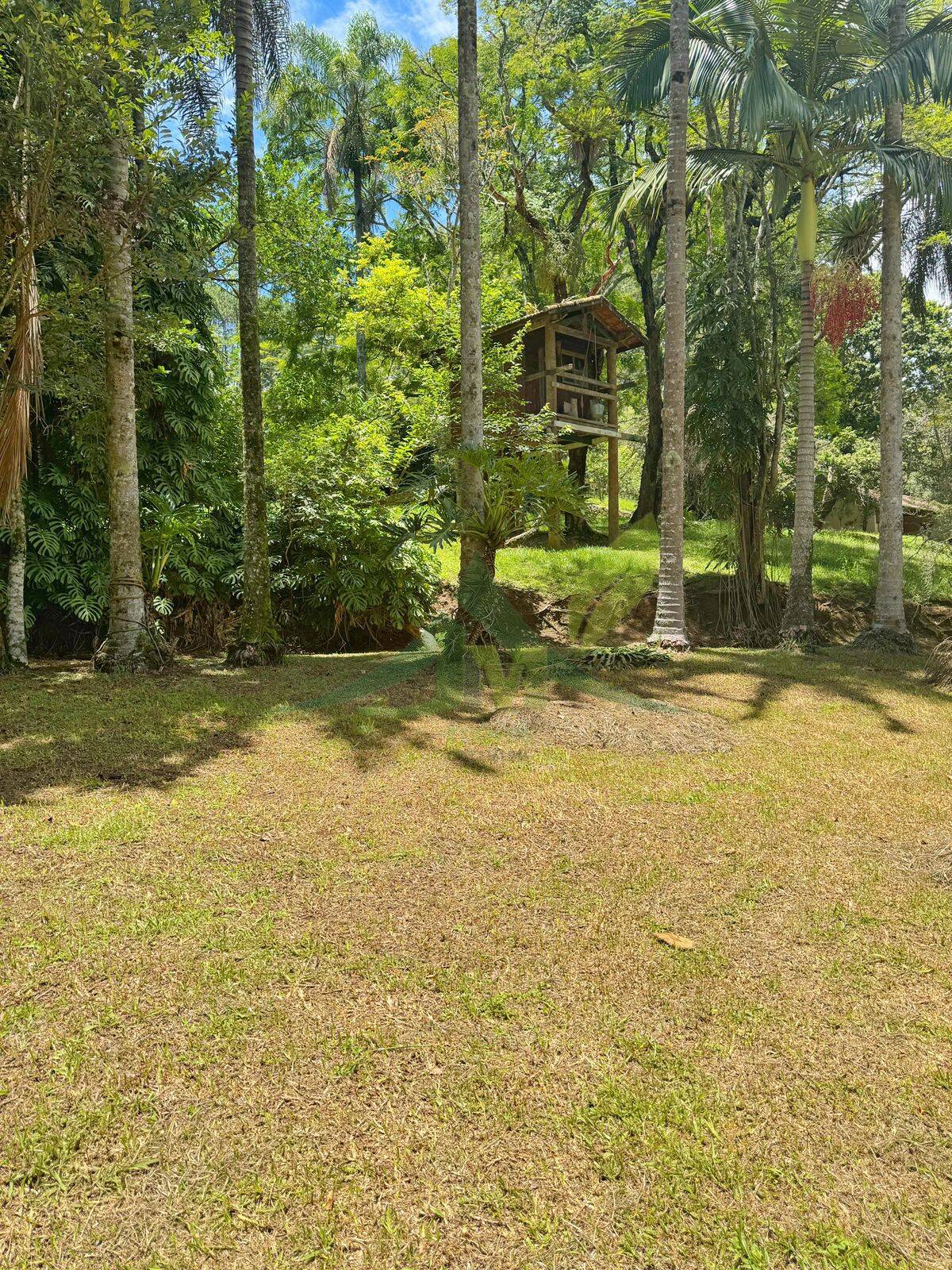 Sítio, 10 quartos, 44 hectares - Foto 11