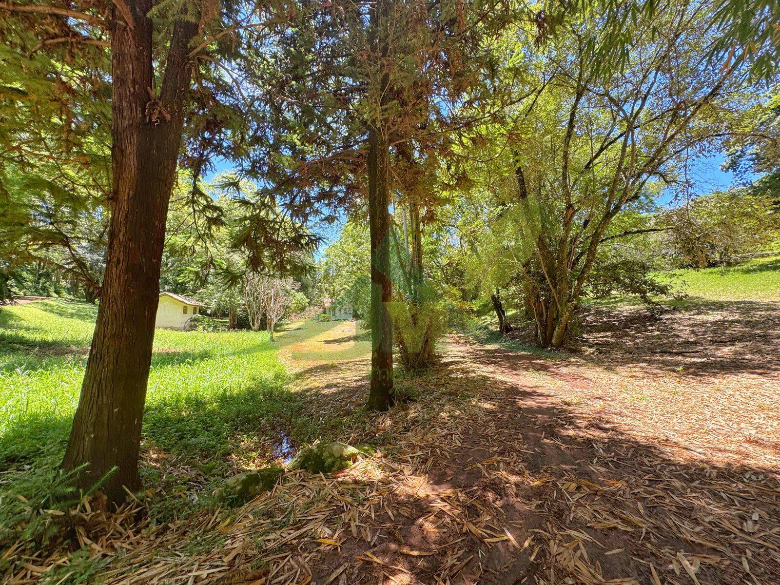 Sítio, 10 quartos, 44 hectares - Foto 12