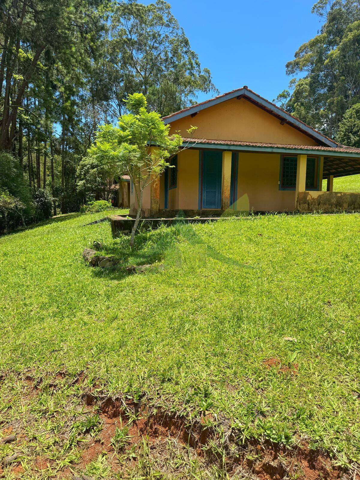 Sítio, 10 quartos, 44 hectares - Foto 14