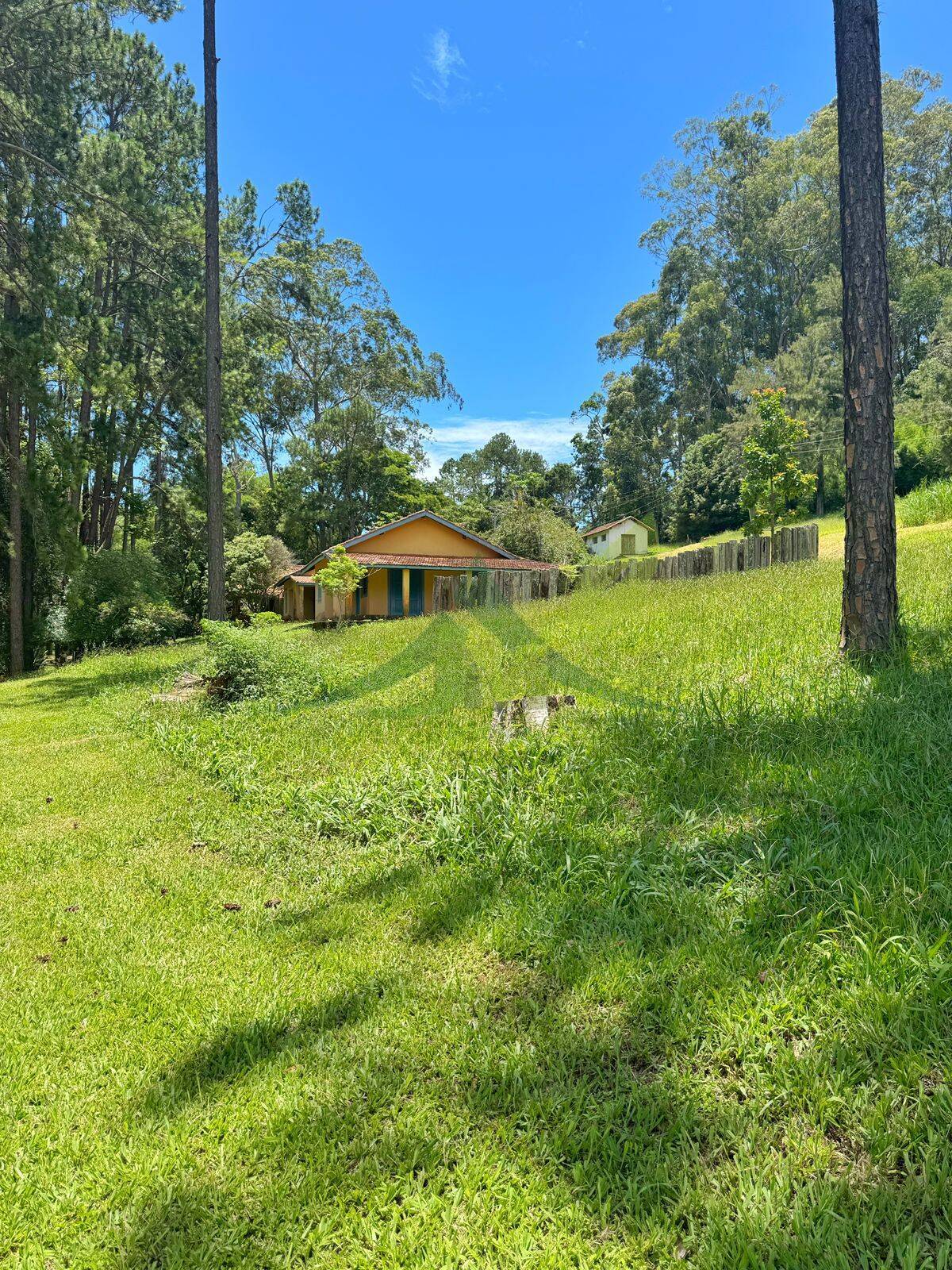 Sítio, 10 quartos, 44 hectares - Foto 17