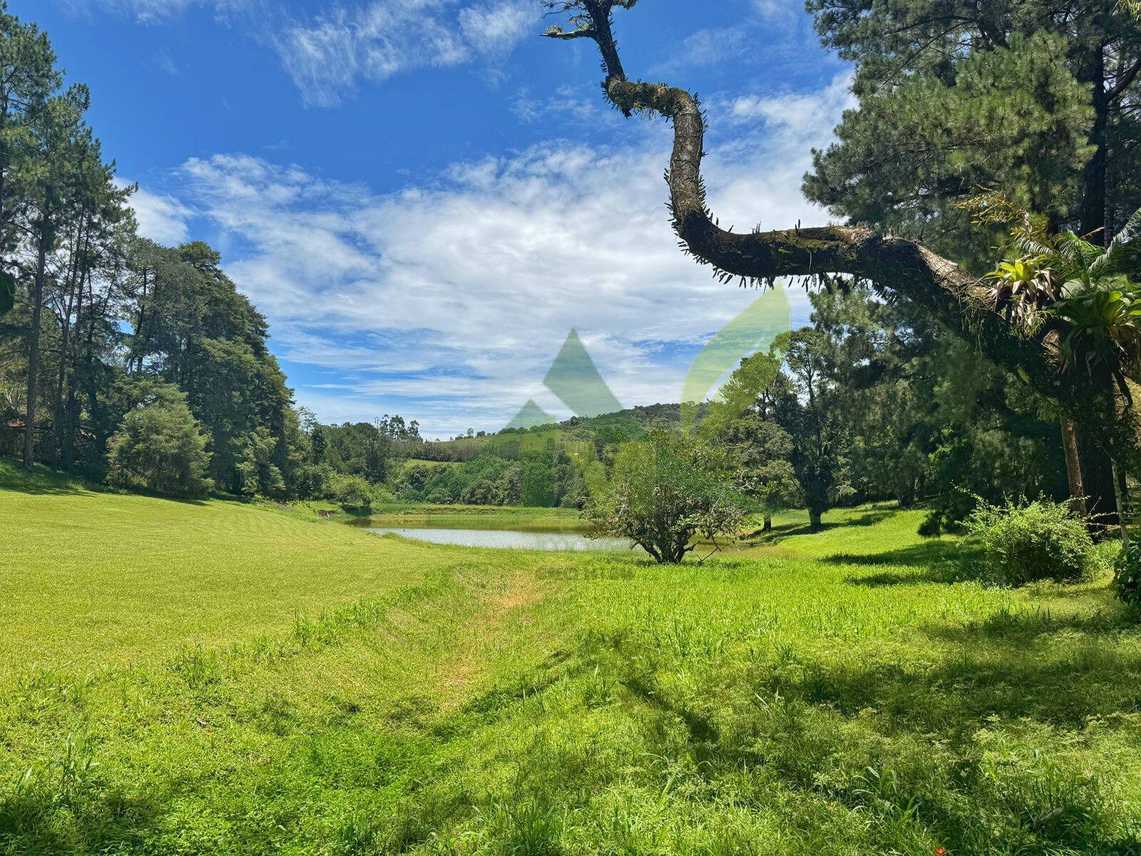 Sítio, 10 quartos, 44 hectares - Foto 7