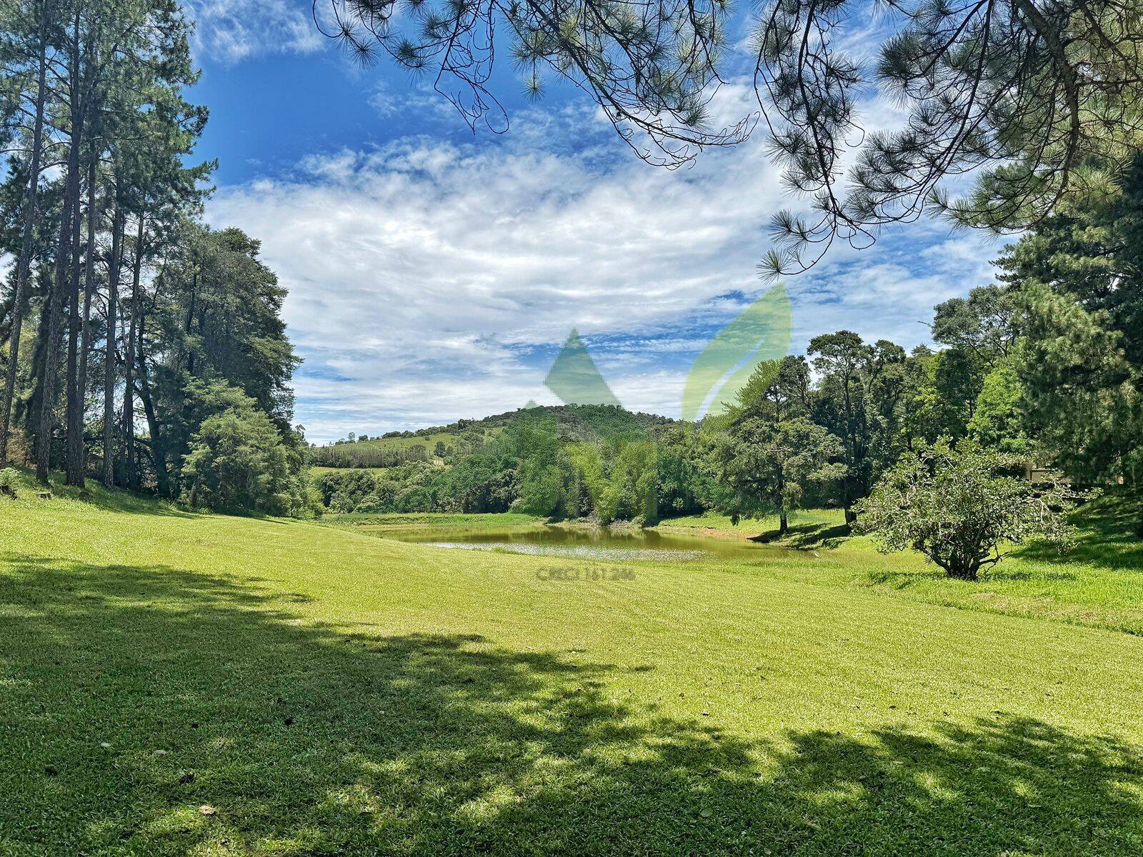 Sítio, 10 quartos, 44 hectares - Foto 19