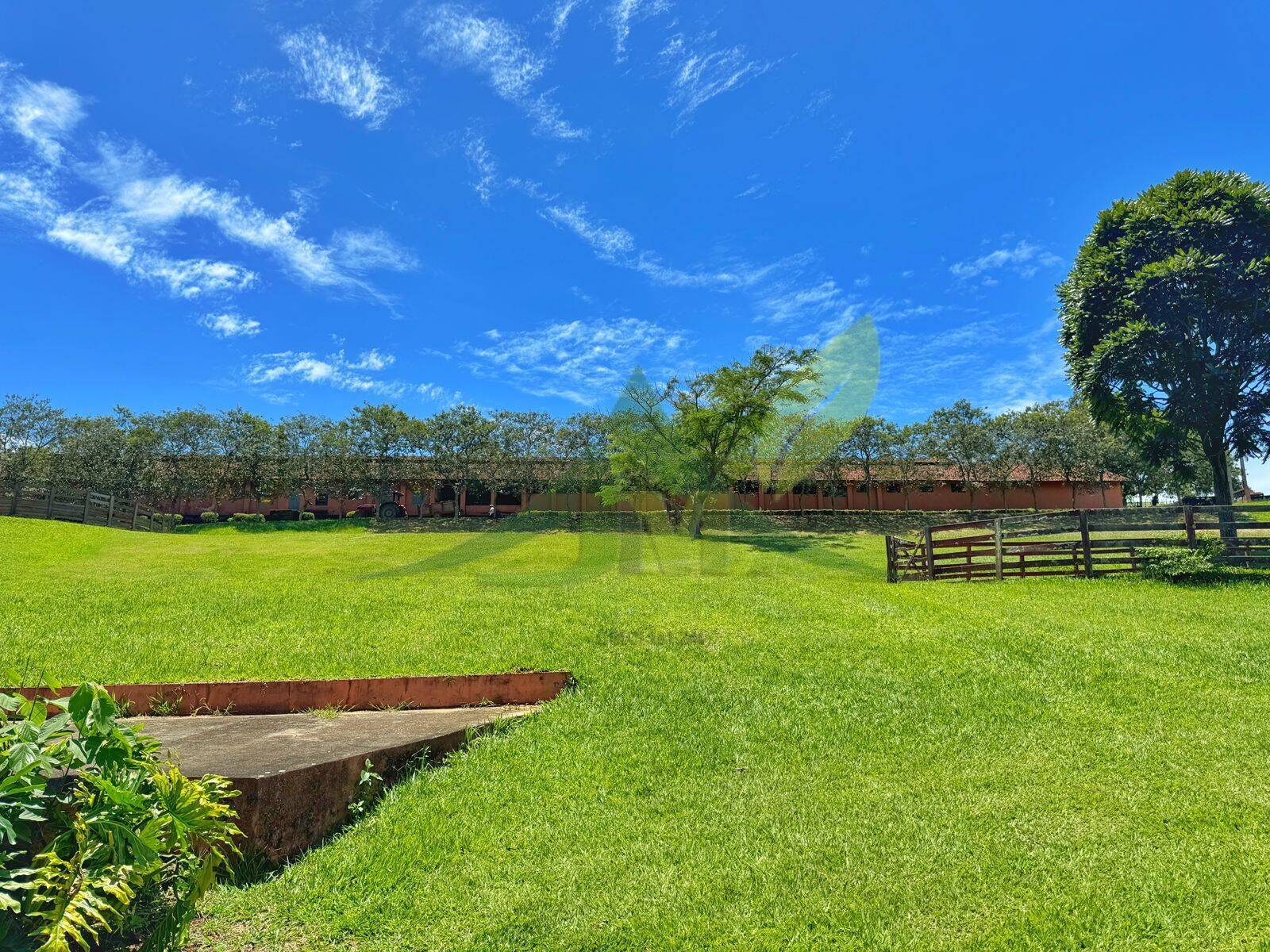Sítio, 10 quartos, 44 hectares - Foto 22