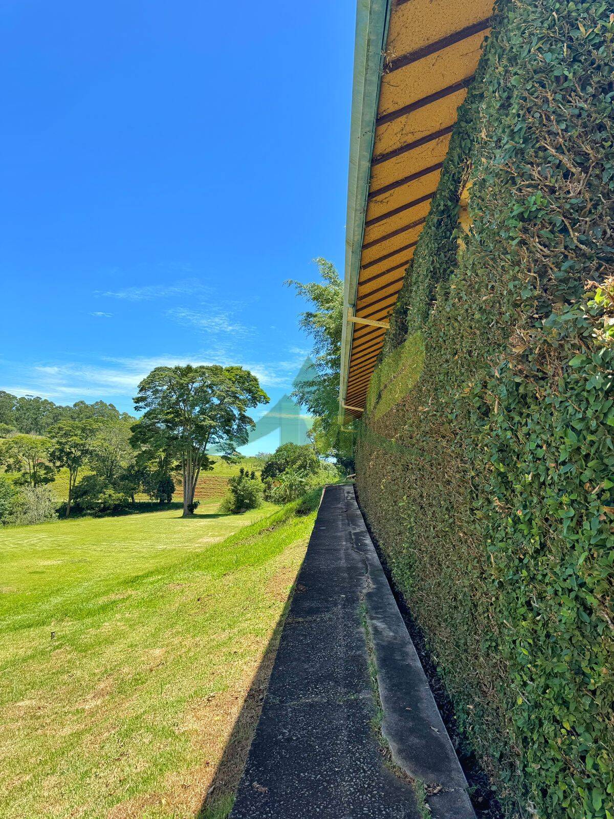 Sítio, 10 quartos, 44 hectares - Foto 26