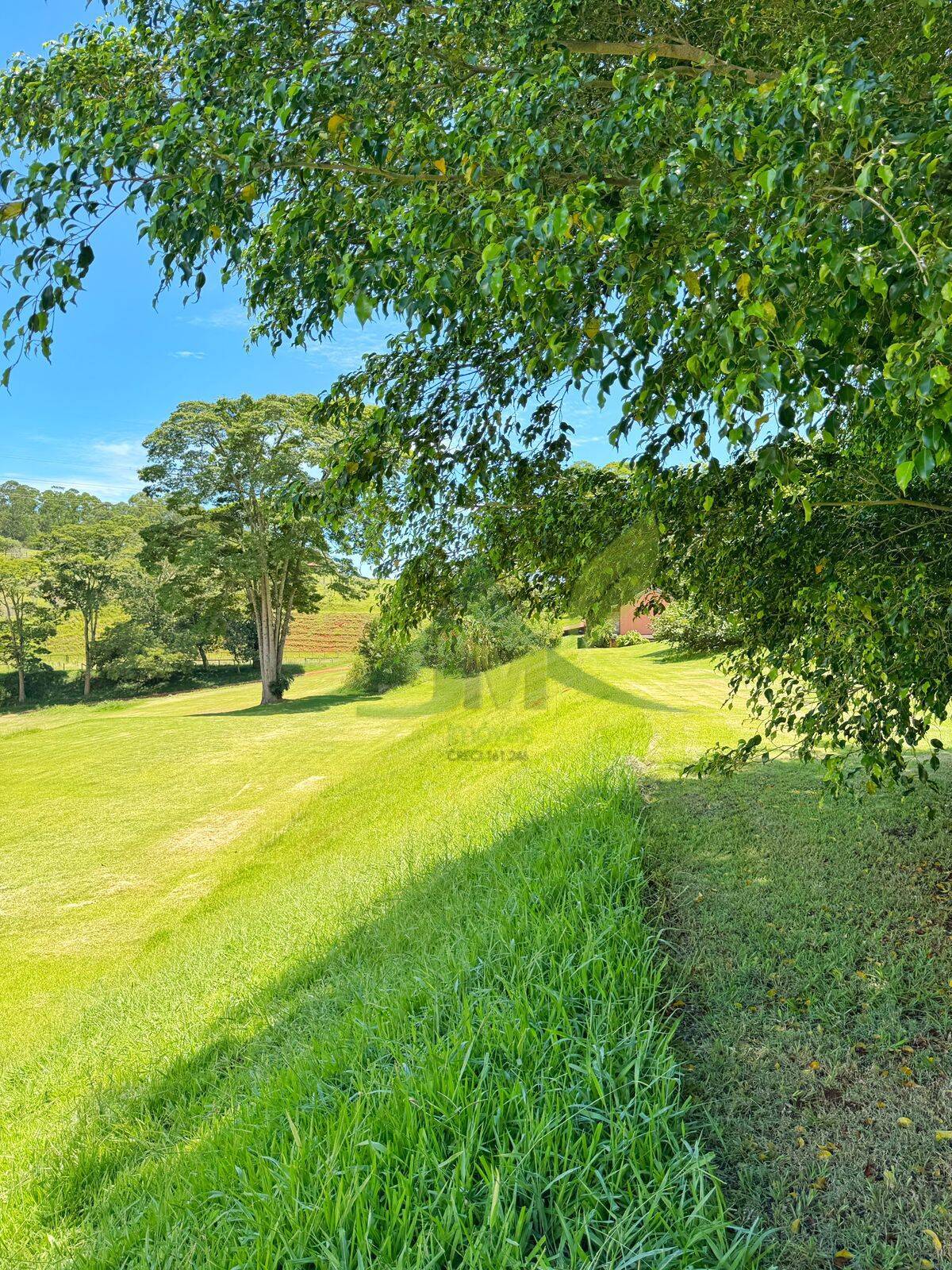 Sítio, 10 quartos, 44 hectares - Foto 28