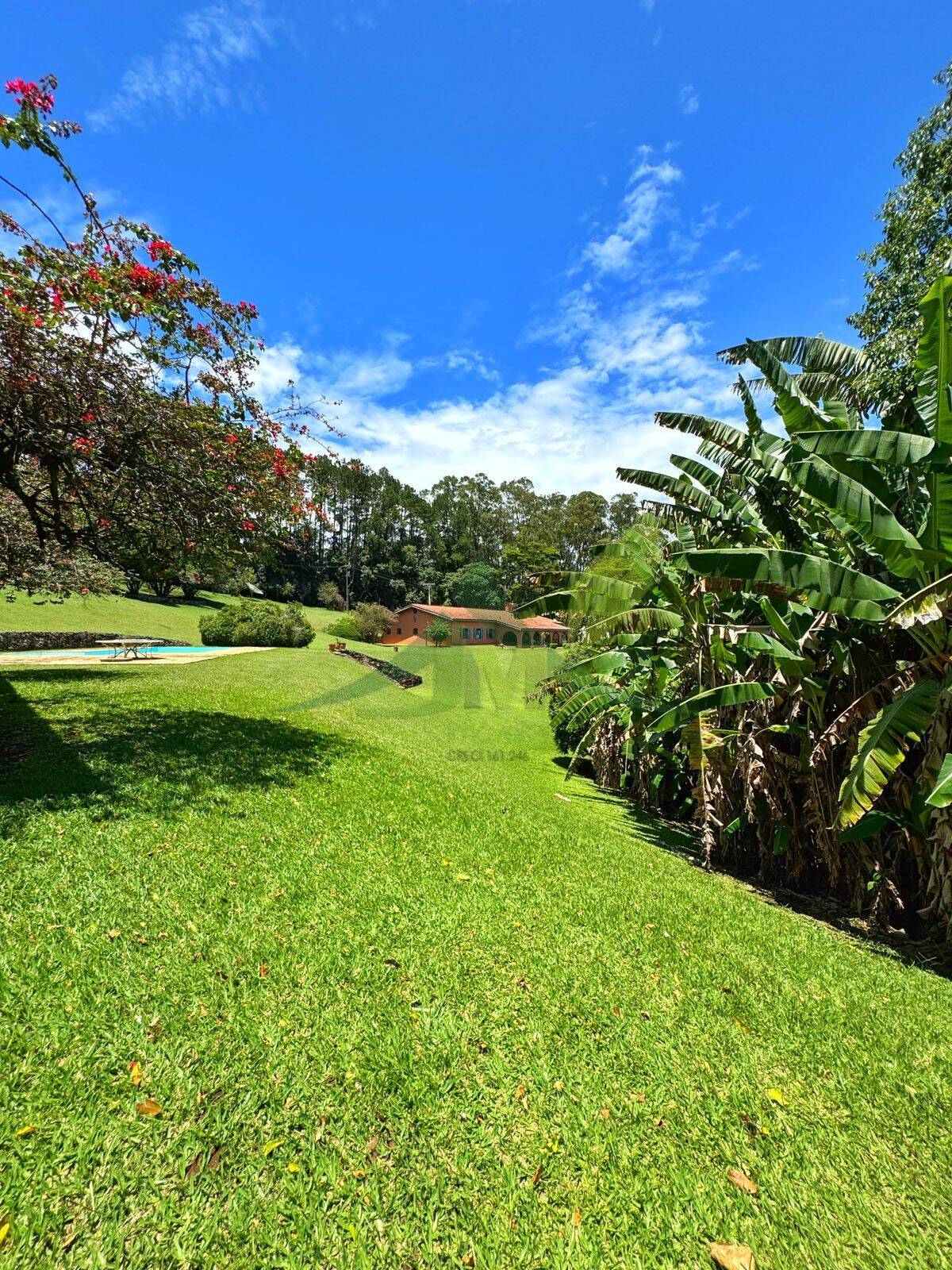 Sítio, 10 quartos, 44 hectares - Foto 29