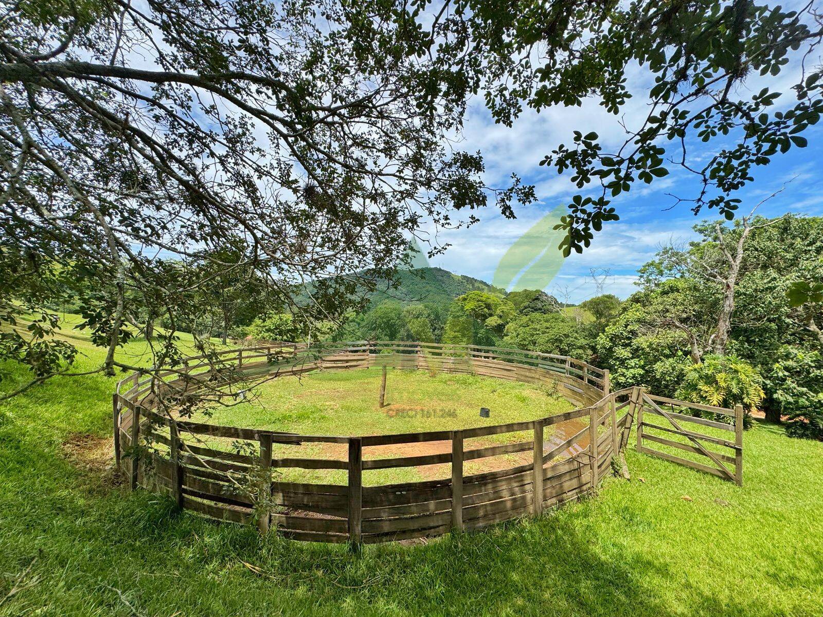 Sítio, 10 quartos, 44 hectares - Foto 32