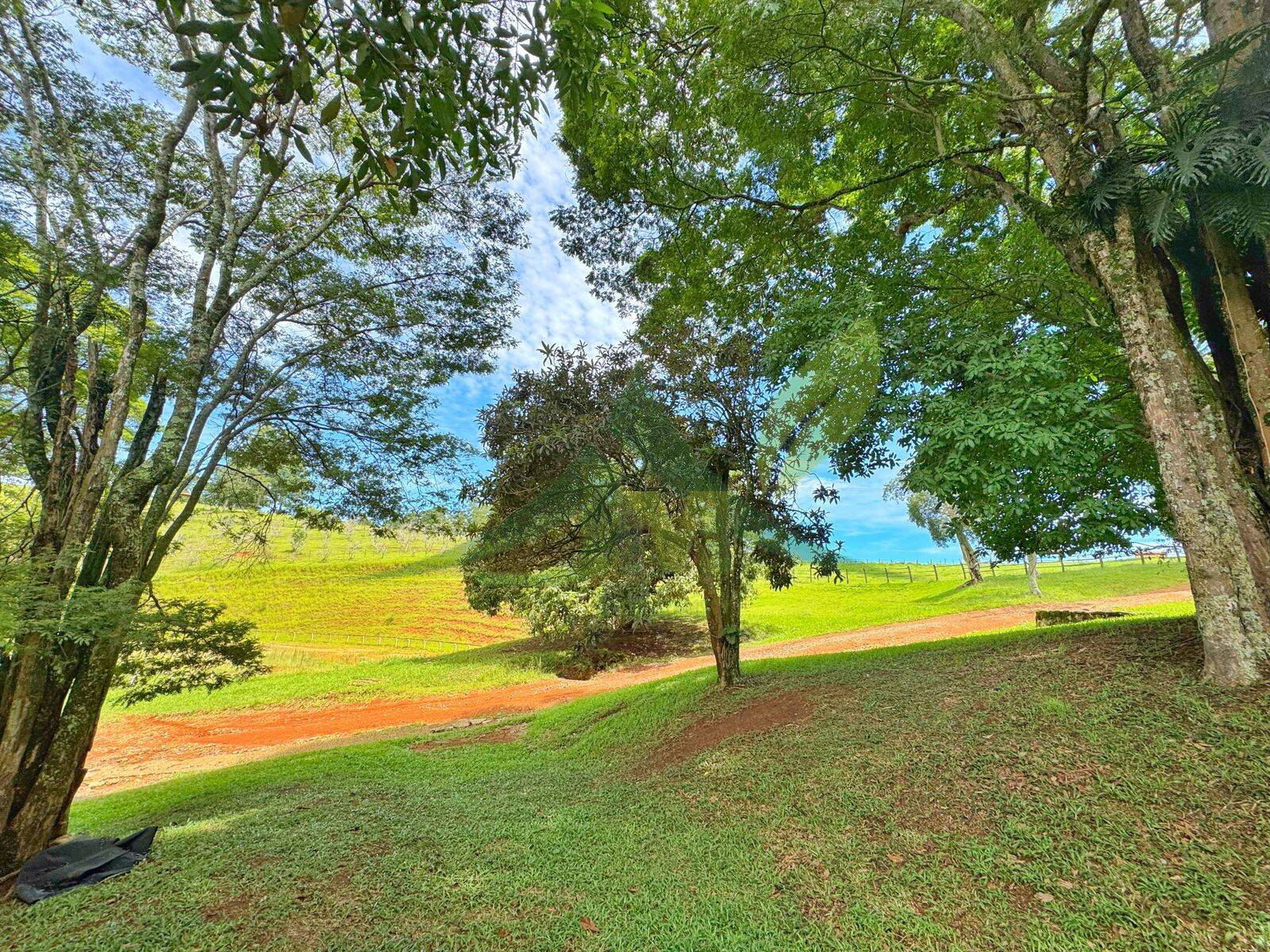 Sítio, 10 quartos, 44 hectares - Foto 33