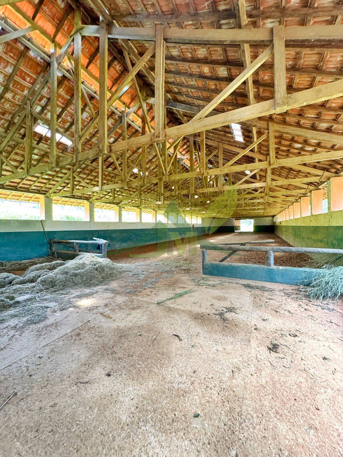 Sítio, 10 quartos, 44 hectares - Foto 34