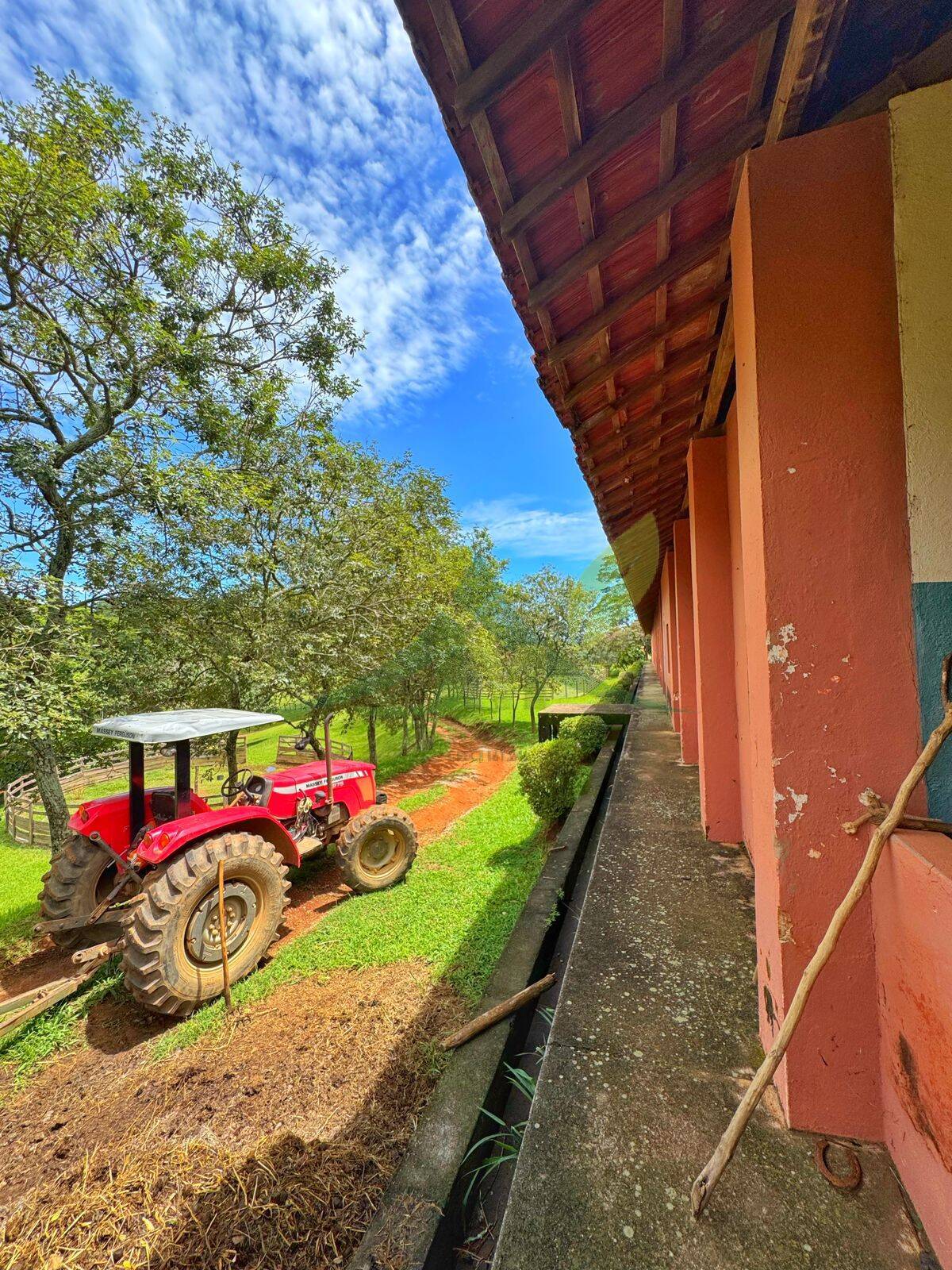 Sítio, 10 quartos, 44 hectares - Foto 10