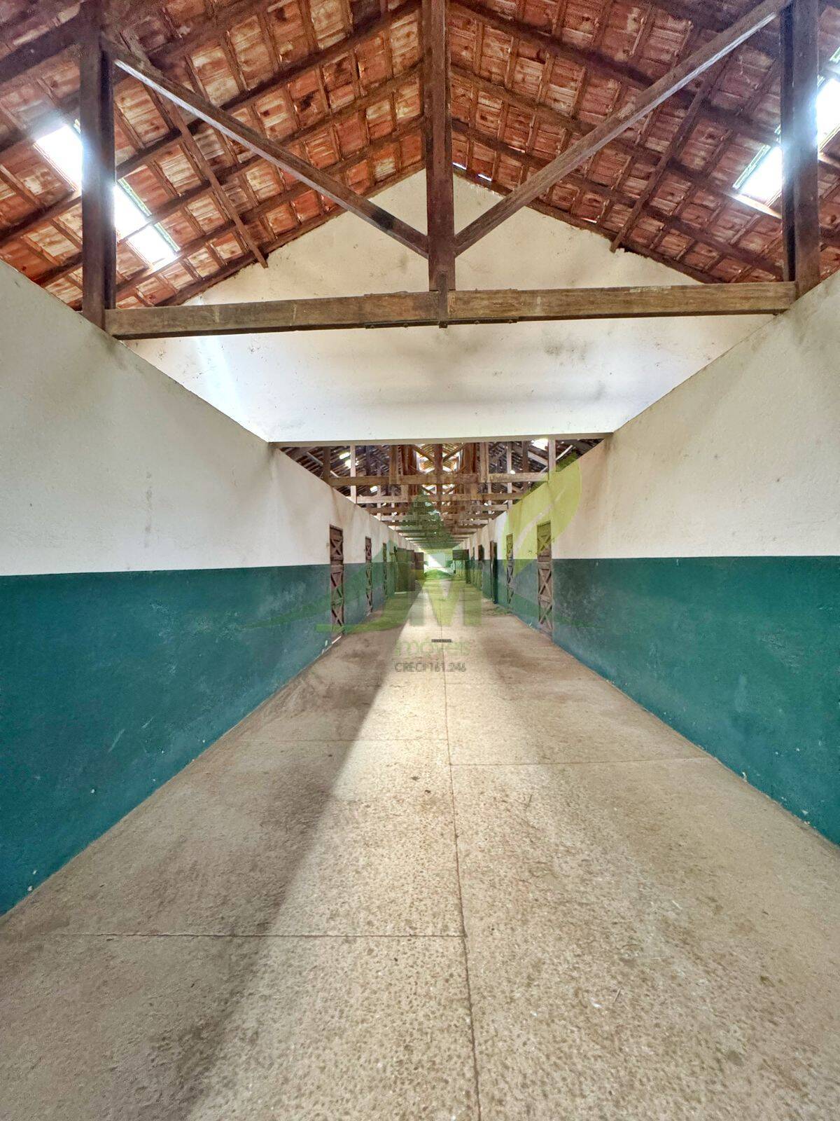 Sítio, 10 quartos, 44 hectares - Foto 36