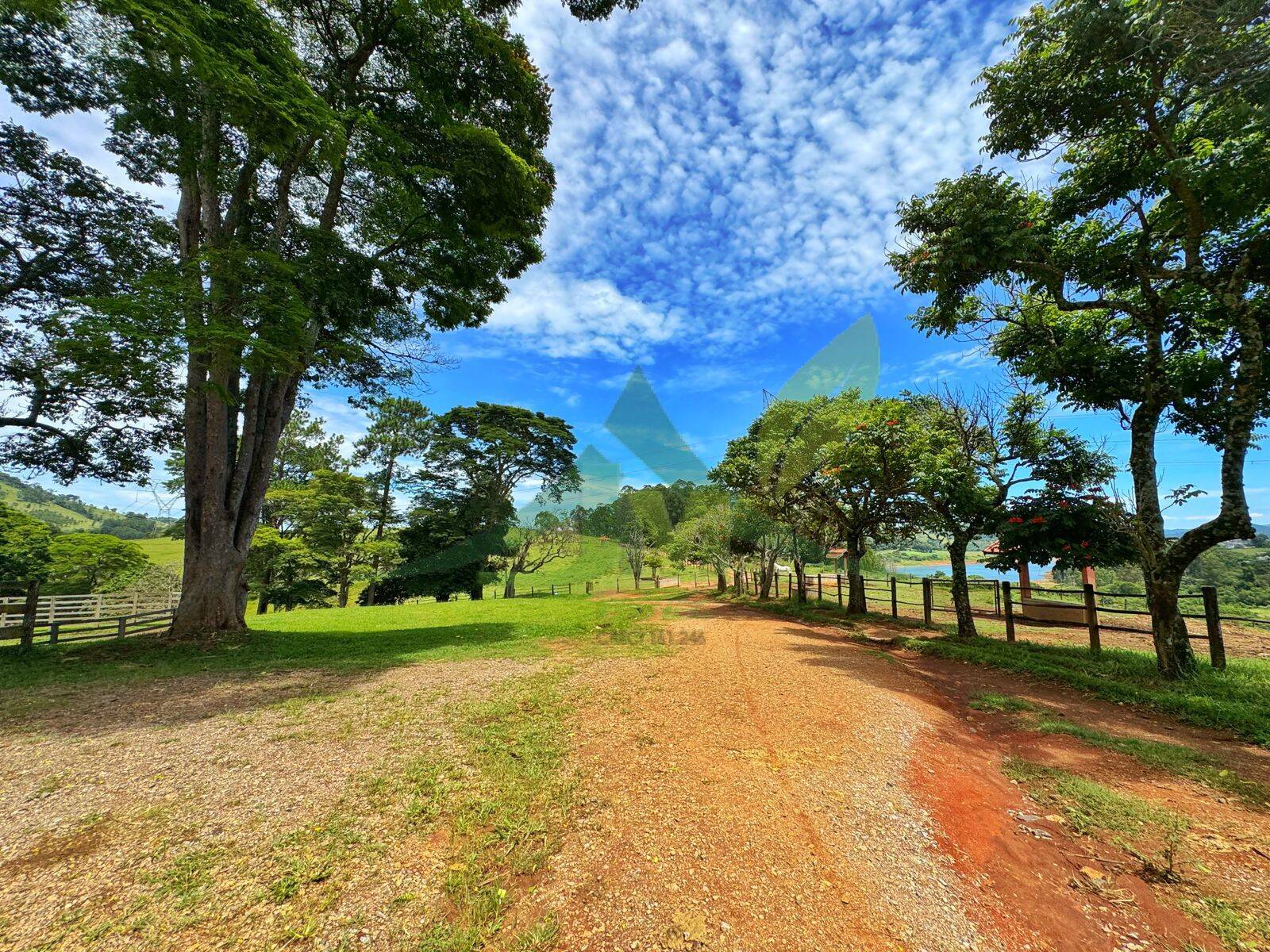 Sítio, 10 quartos, 44 hectares - Foto 45