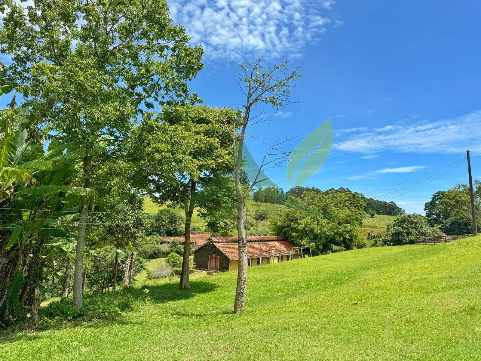Sítio, 10 quartos, 44 hectares - Foto 46