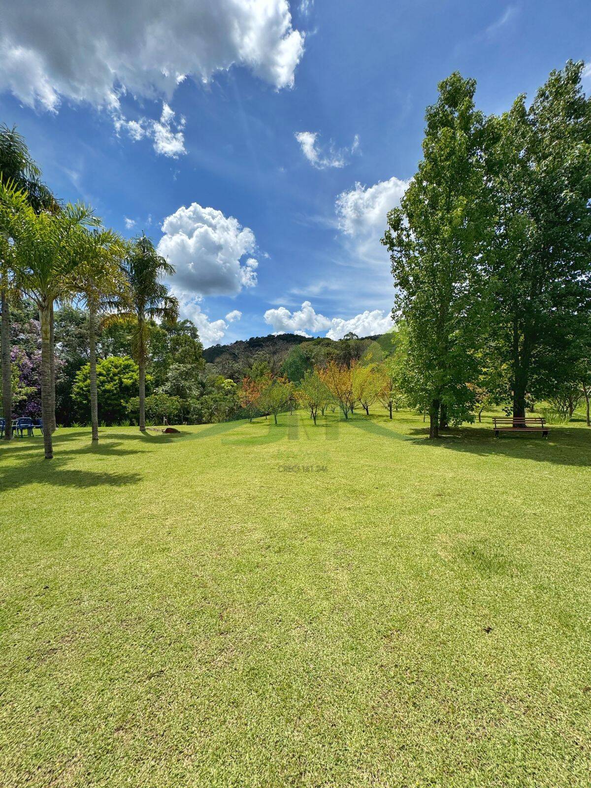 Sítio, 5 quartos, 21 hectares - Foto 33