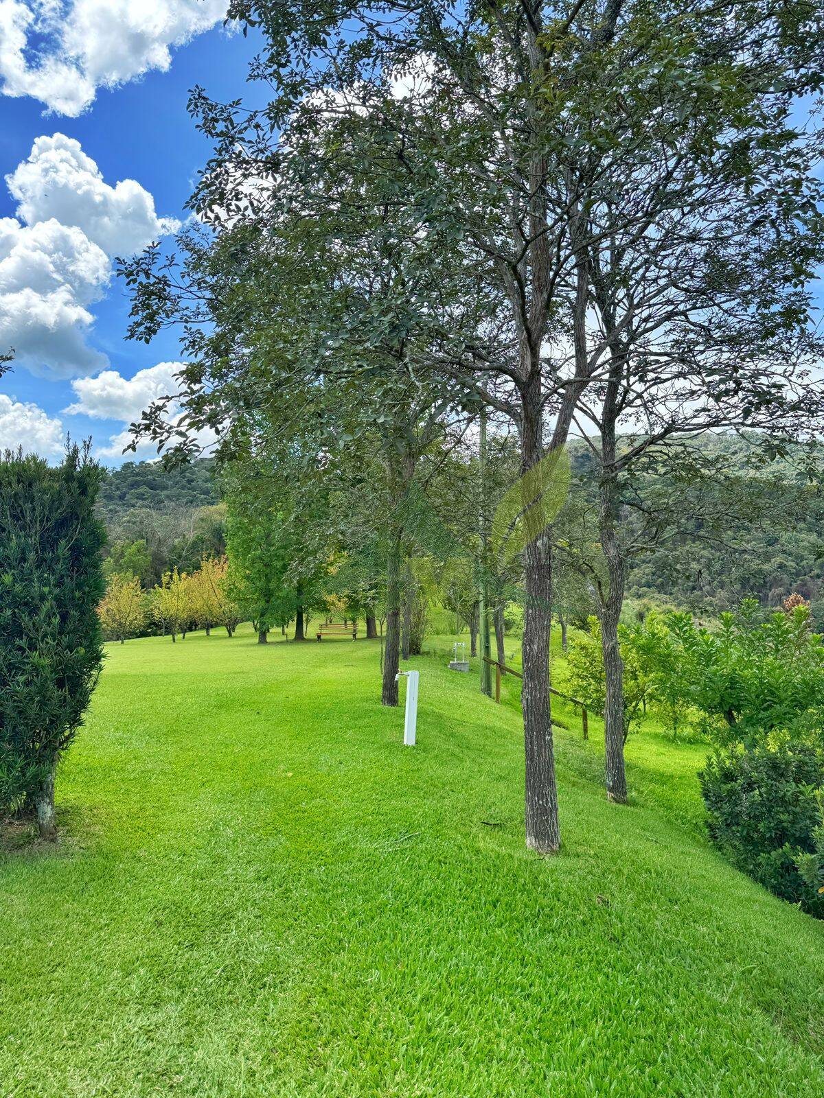 Sítio, 5 quartos, 21 hectares - Foto 36