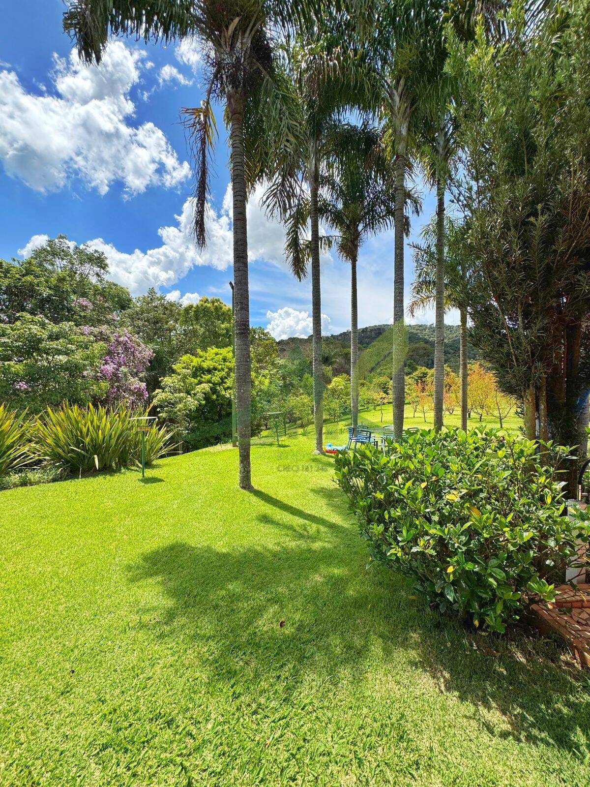 Sítio, 5 quartos, 21 hectares - Foto 39