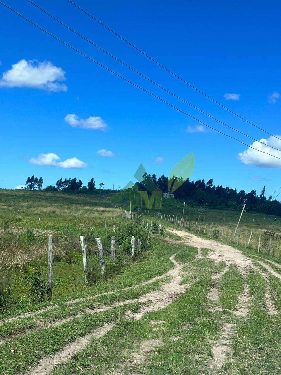 Fazenda, 126 hectares - Foto 8