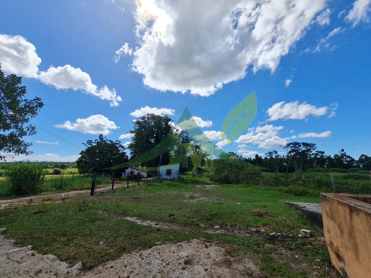 Fazenda, 126 hectares - Foto 12