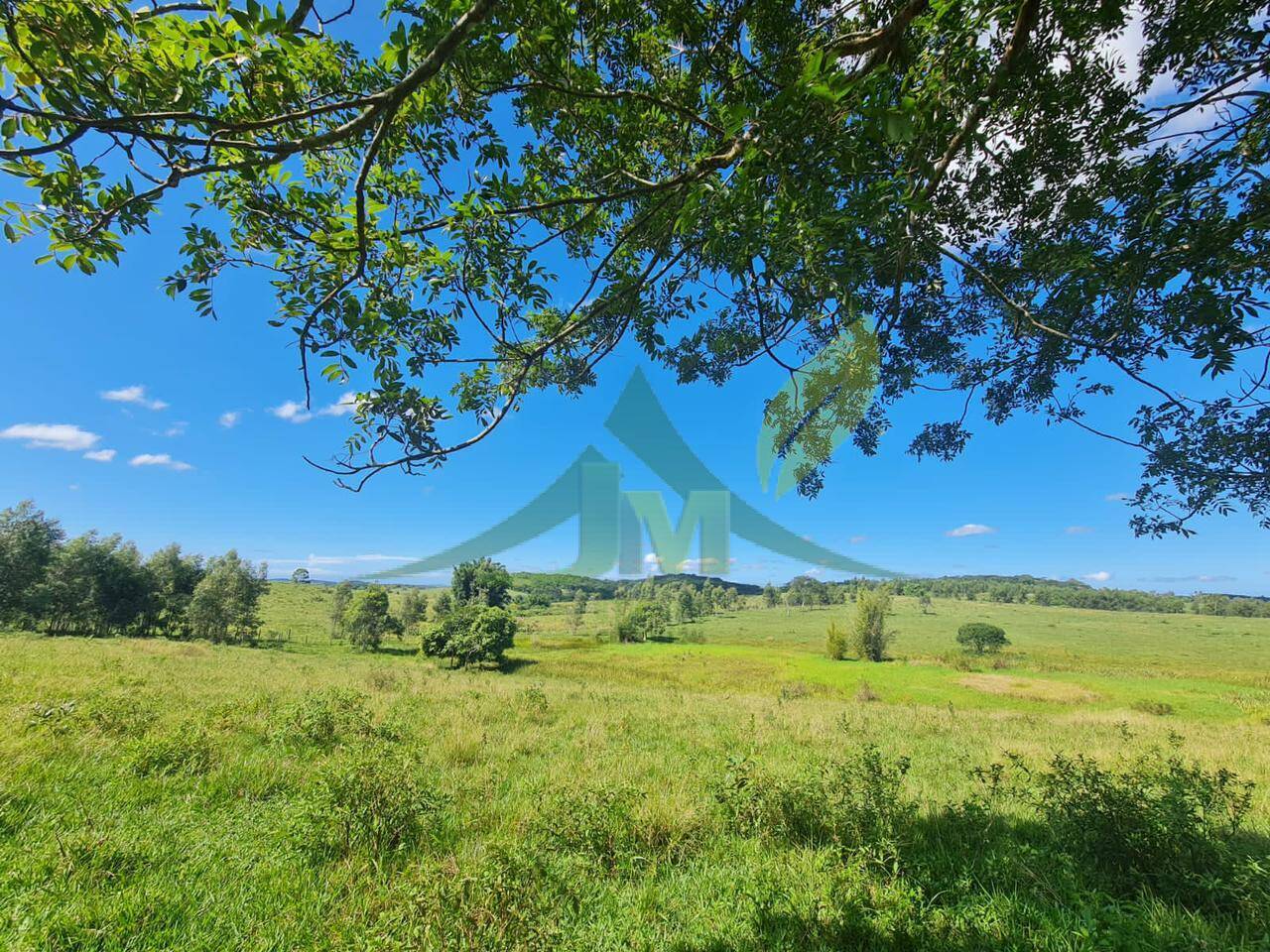 Fazenda, 126 hectares - Foto 24
