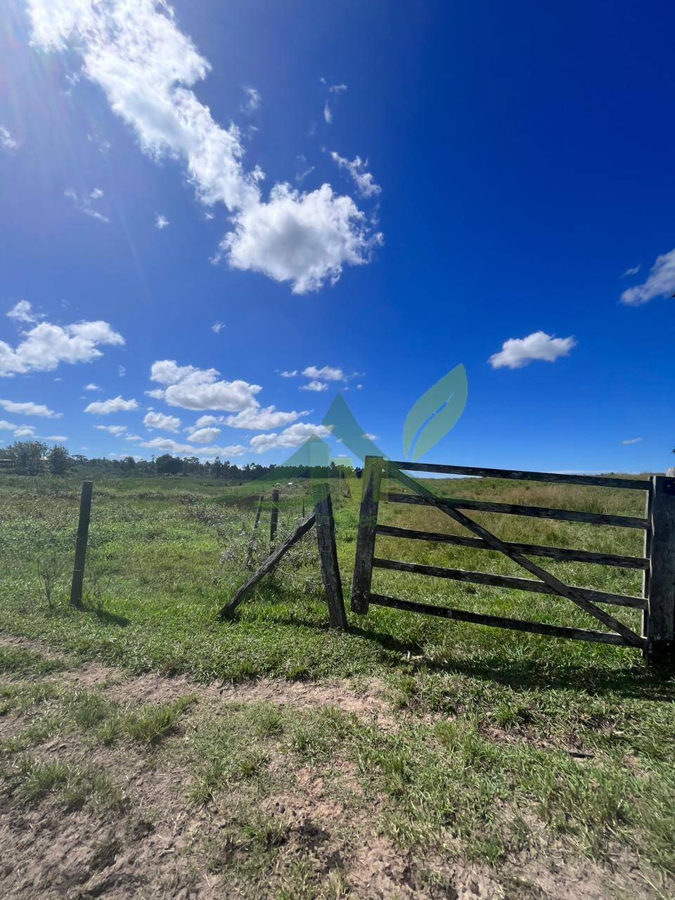 Fazenda, 126 hectares - Foto 23