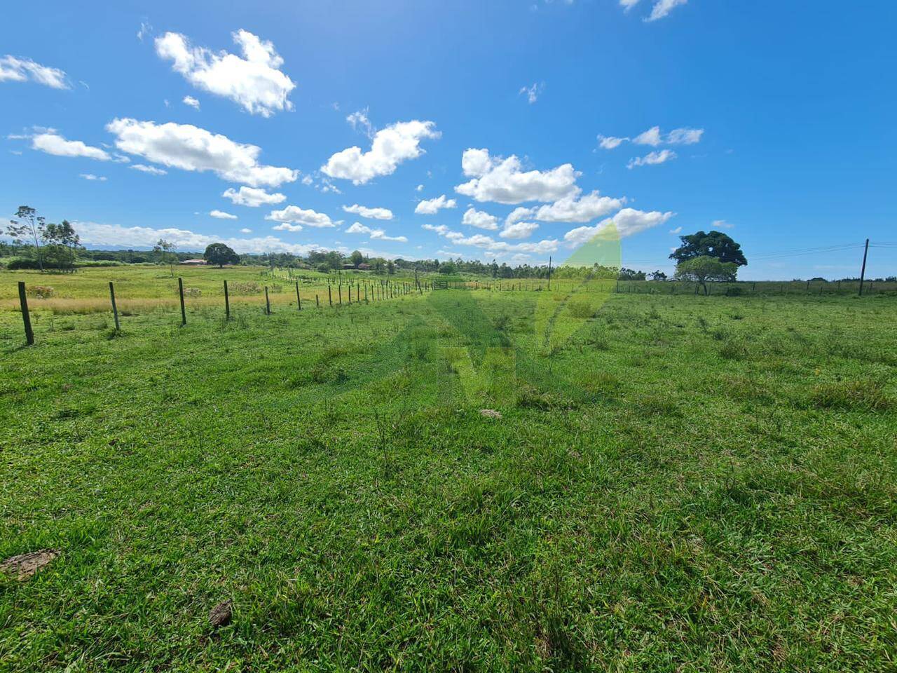 Fazenda, 126 hectares - Foto 25