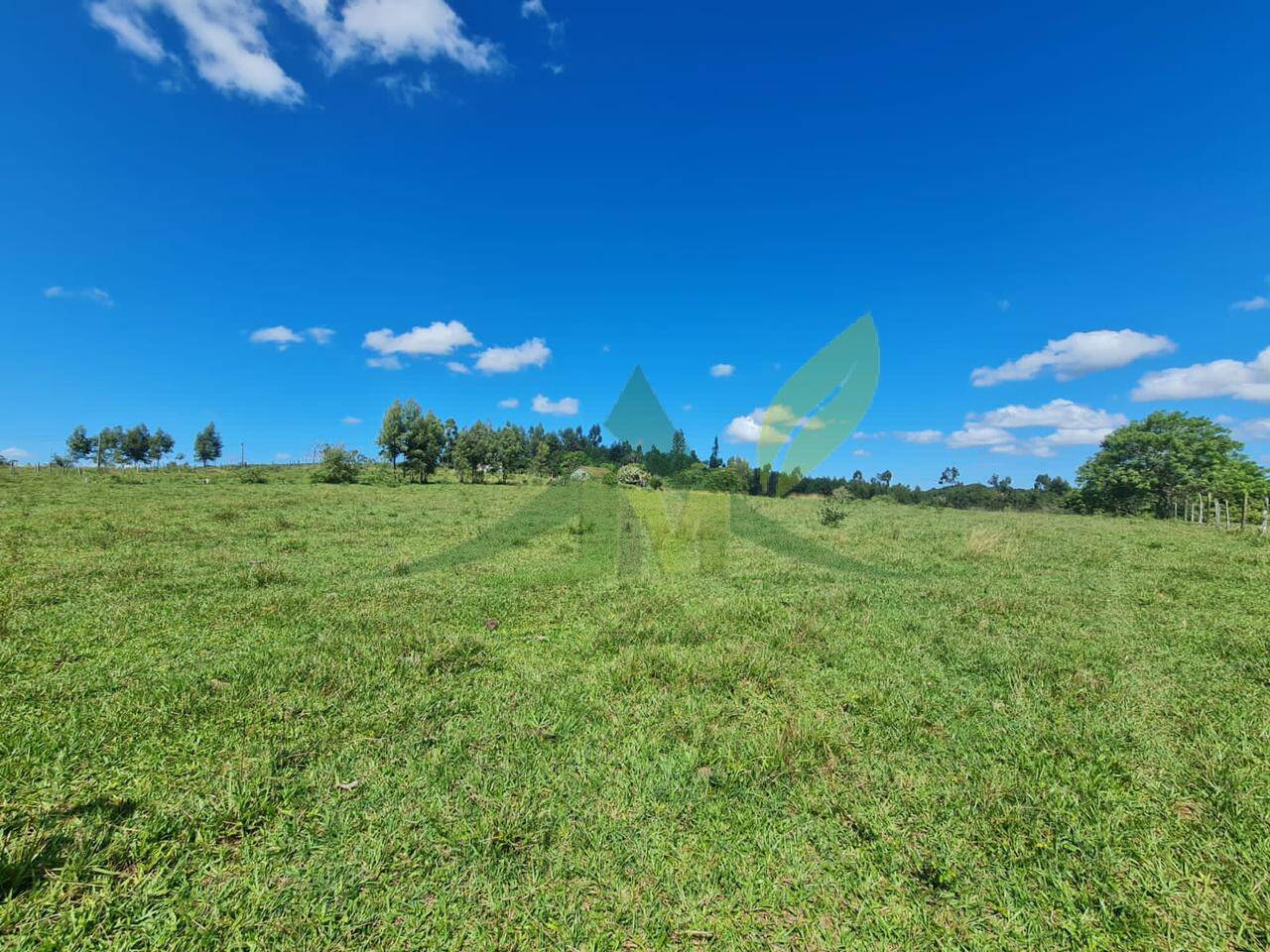 Fazenda, 126 hectares - Foto 22
