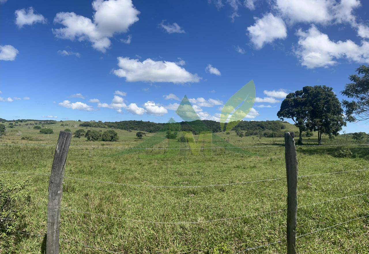 Fazenda, 126 hectares - Foto 26