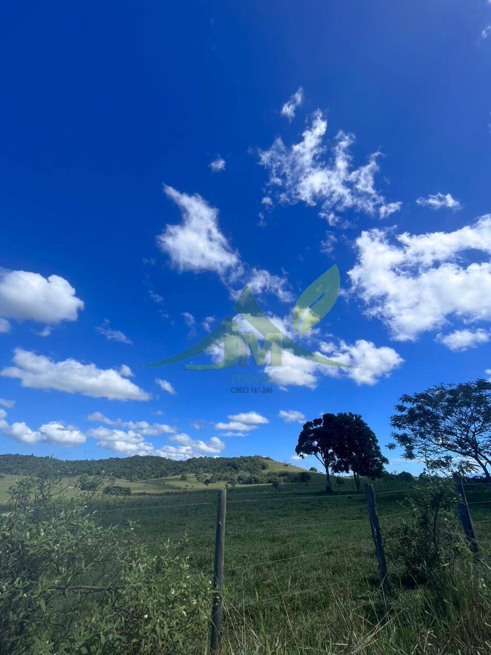 Fazenda, 126 hectares - Foto 29