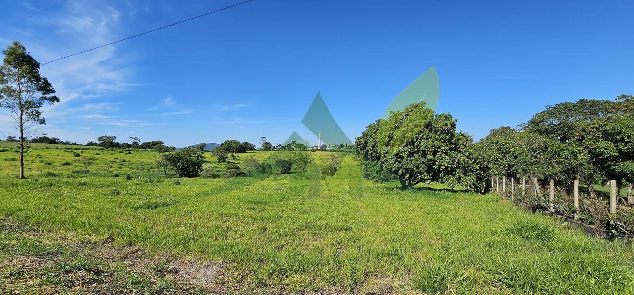 Sítio, 5 quartos, 14 hectares - Foto 6