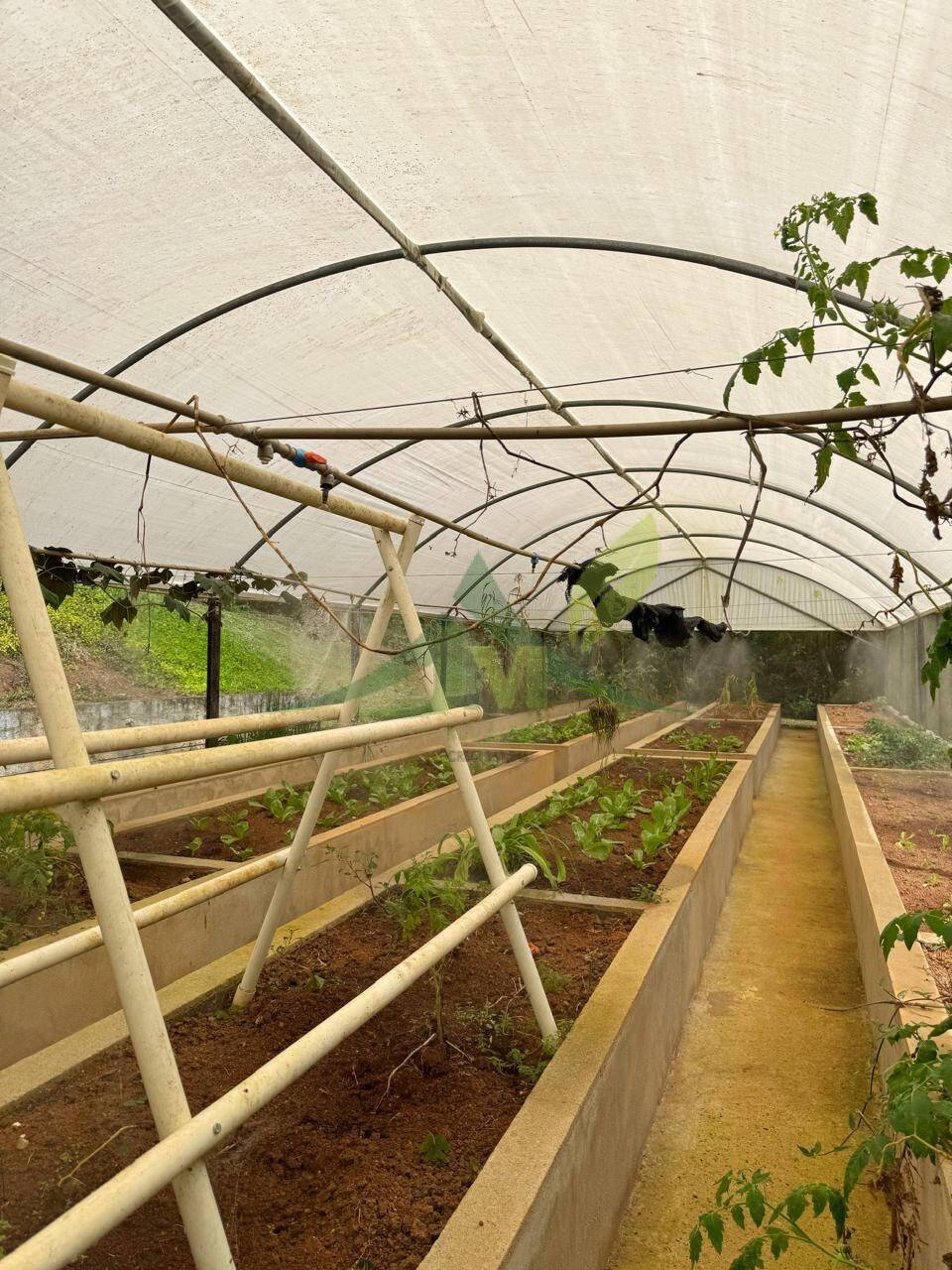 Sítio, 9 quartos, 24 hectares - Foto 49